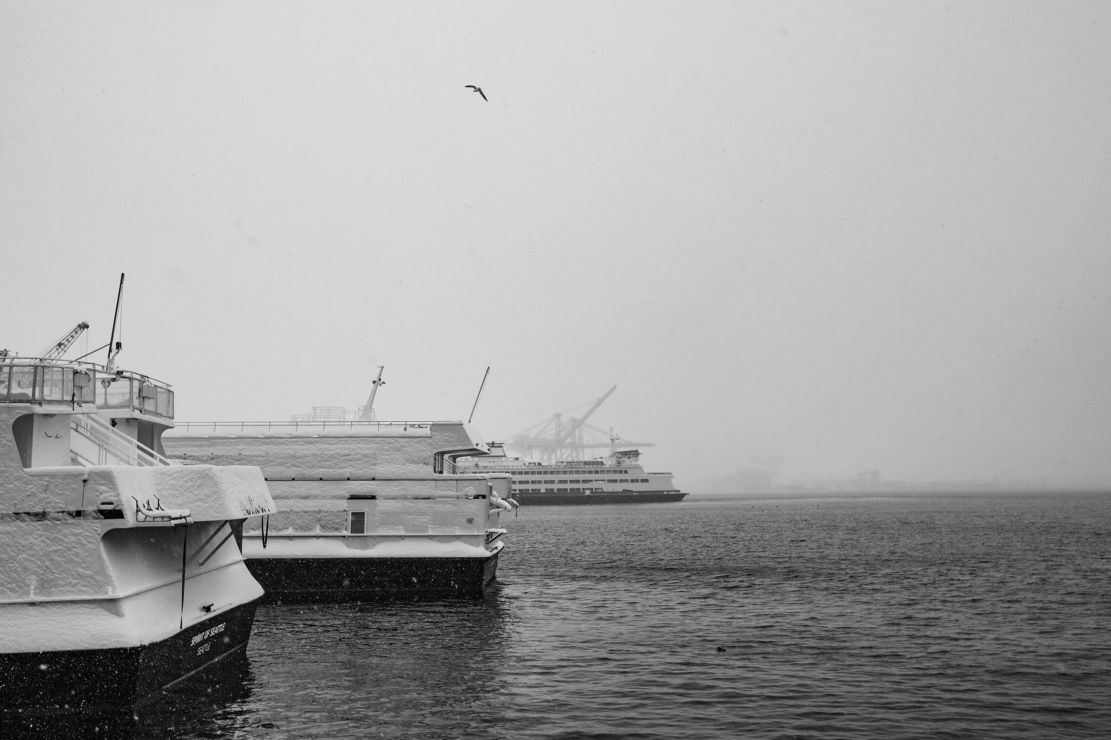 _C5A6228.jpg