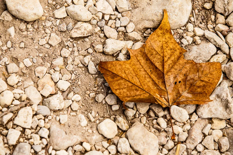 Lost Maples State Natural Area, Vanderpool, Texas