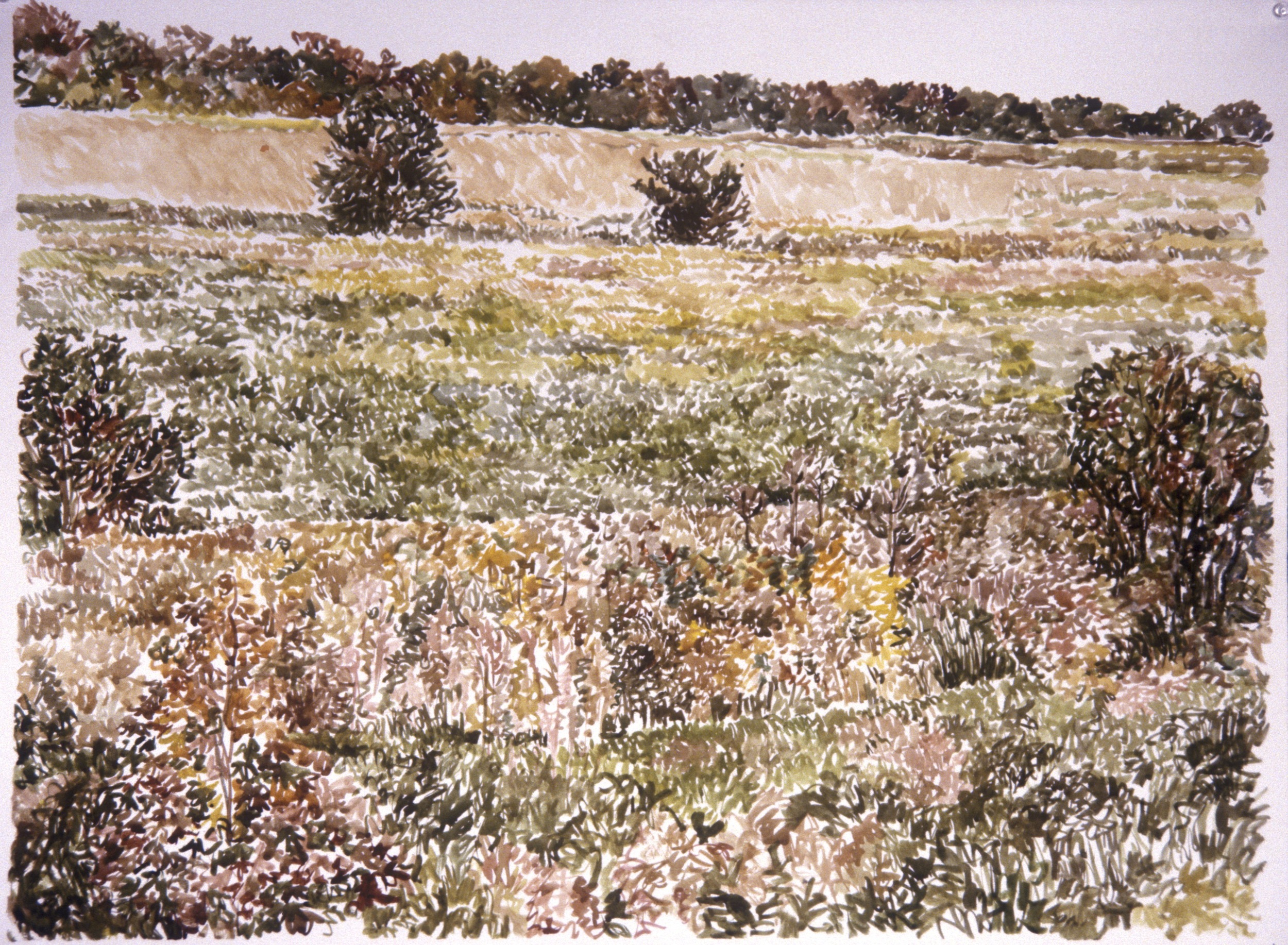   "Field in Suffolk VA"  Watercolor 22X30 