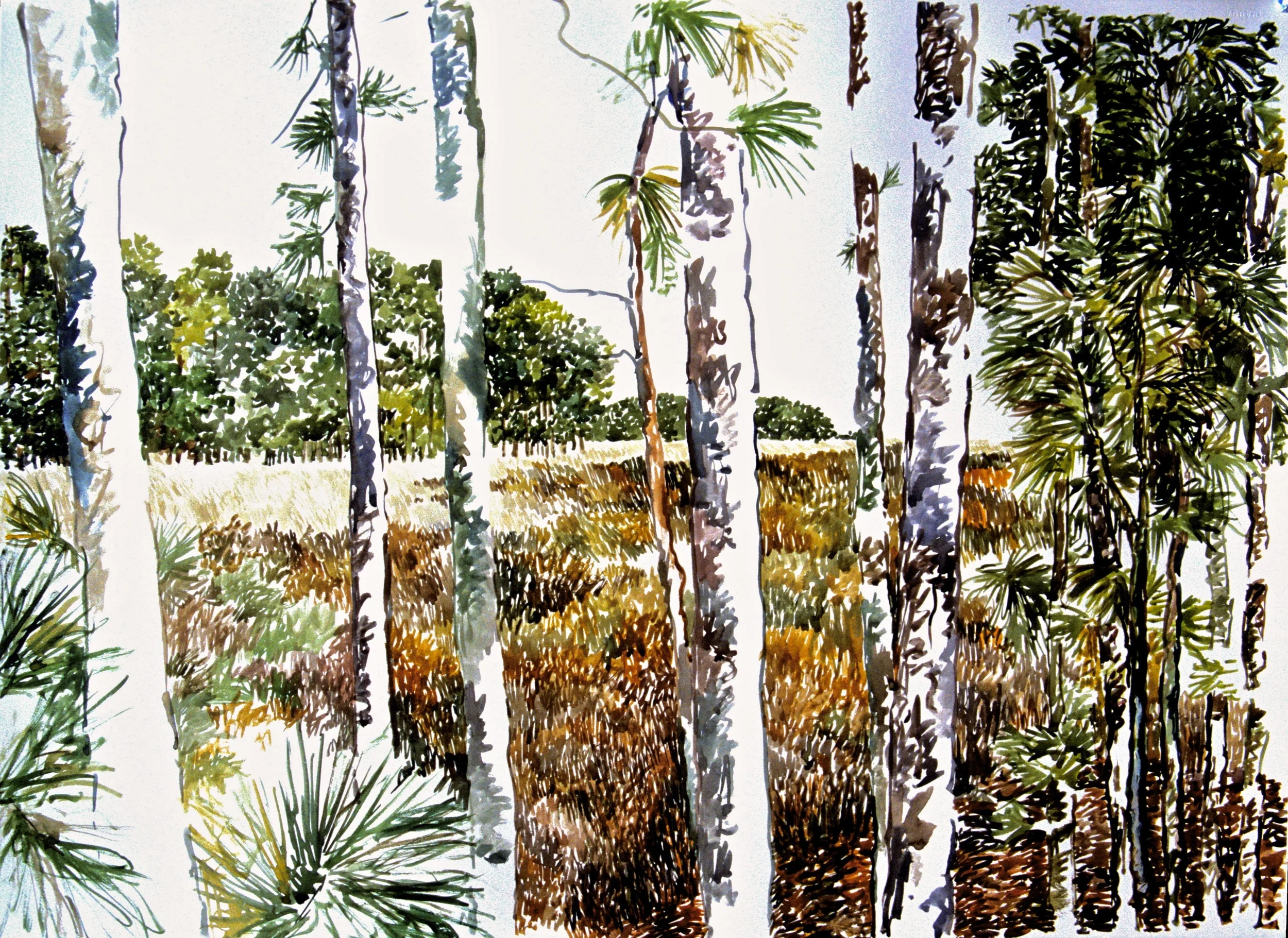 "Pines South of the James River" Watercolor 22X30