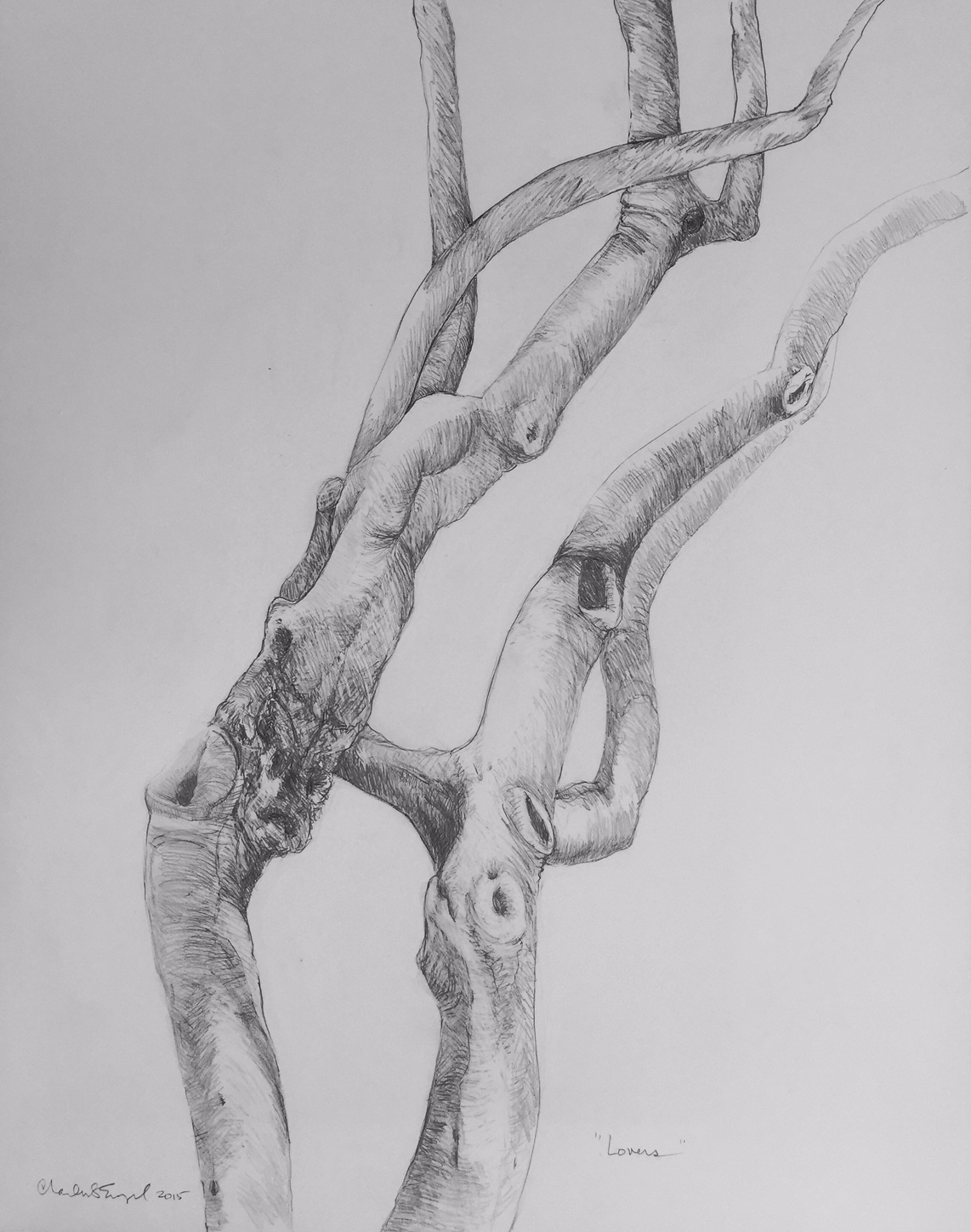   "Paloverde Lovers"  Graphite on Paper   