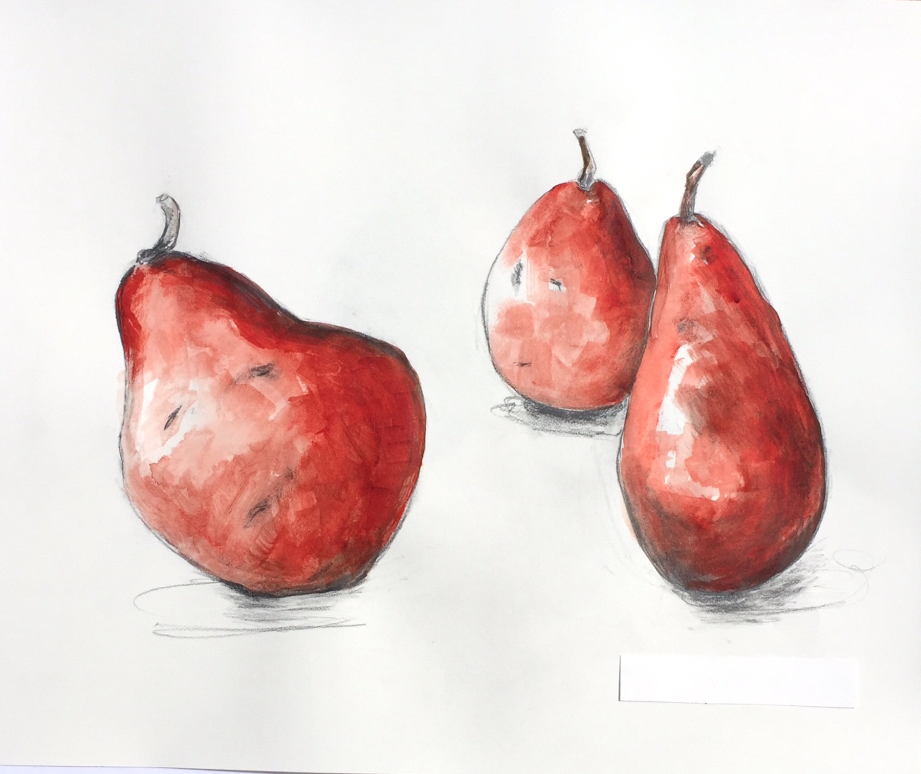   "Tipsy Pears"  Watercolor on Paper 19" x 25" 