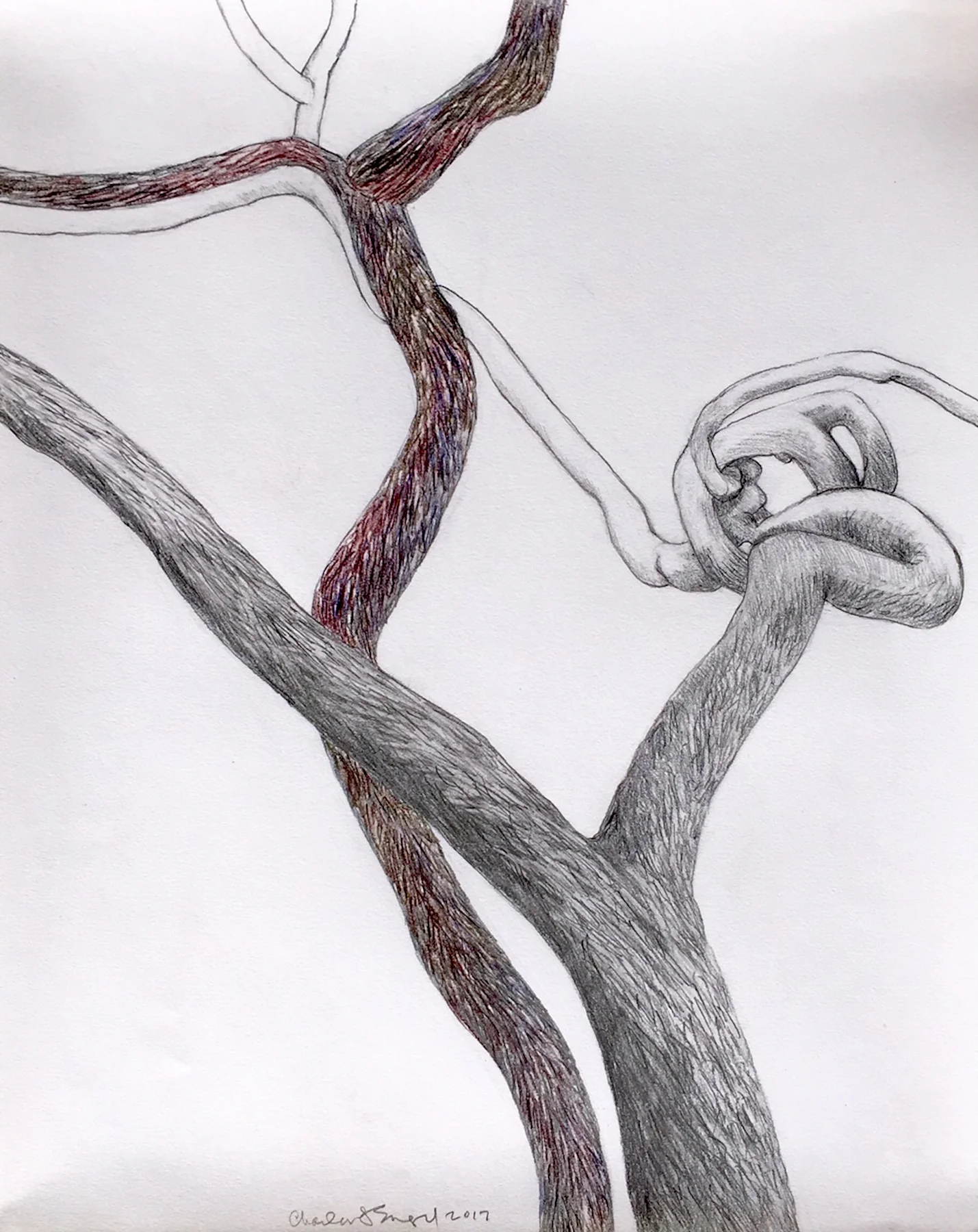 "Square Dance" Graphite and Watercolor Pencil 21" x 25"