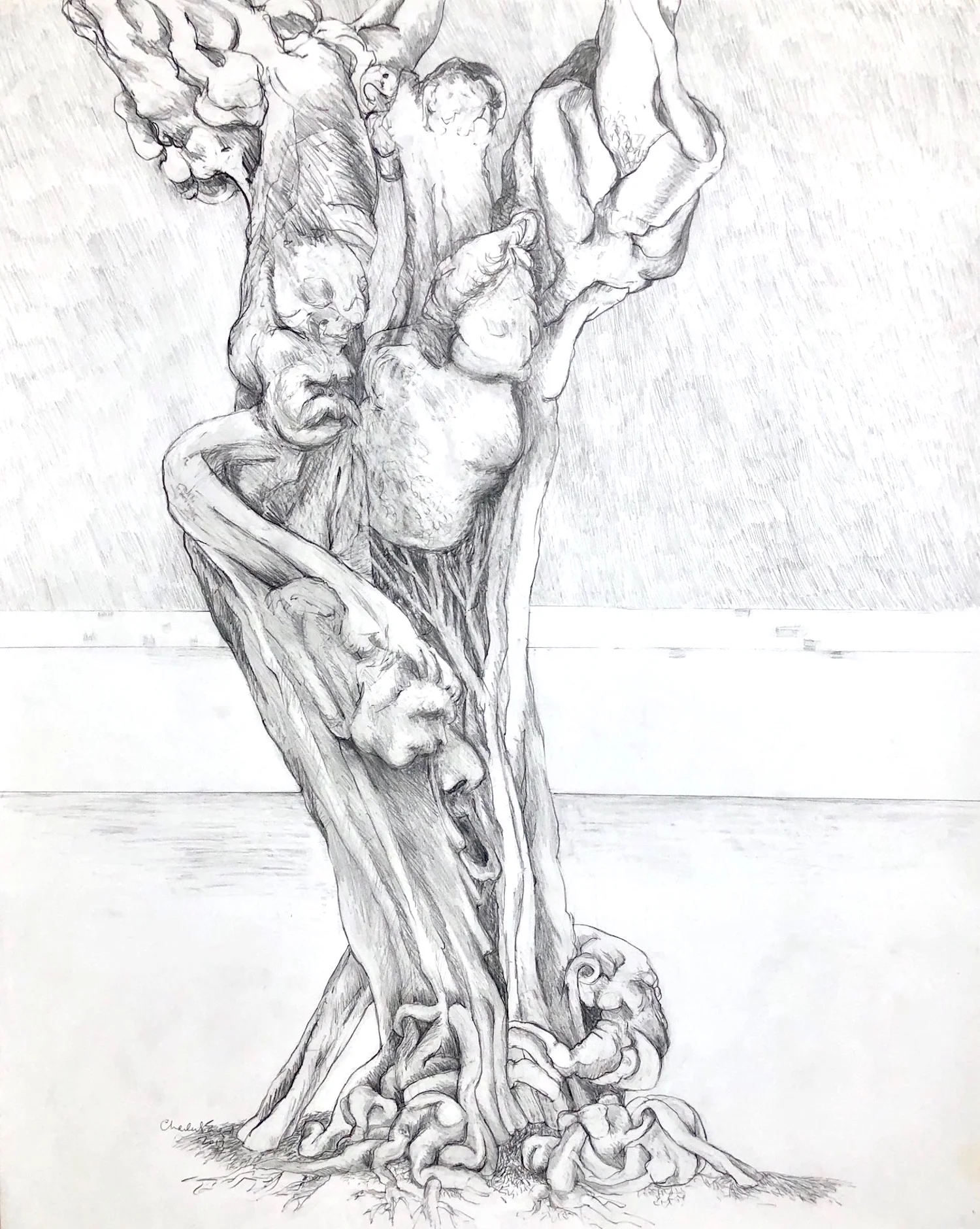 “Old Mulberry Tree” Graphite on Paper