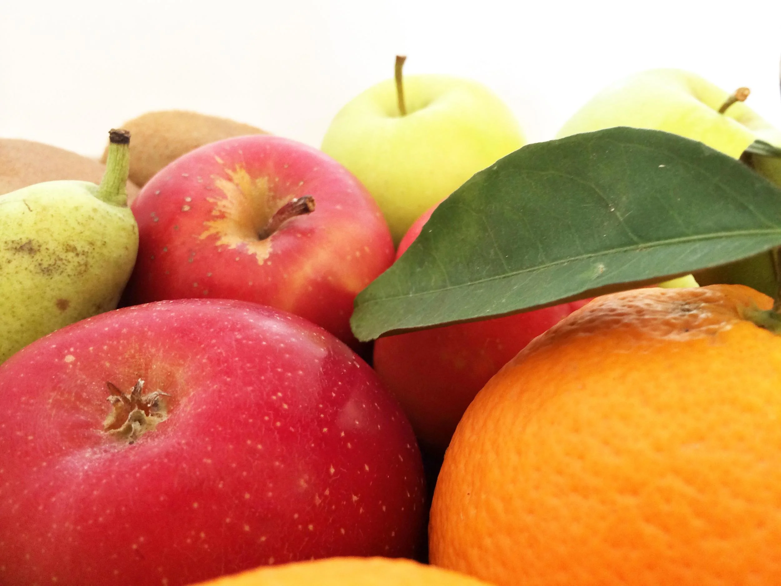 fruits.jpg