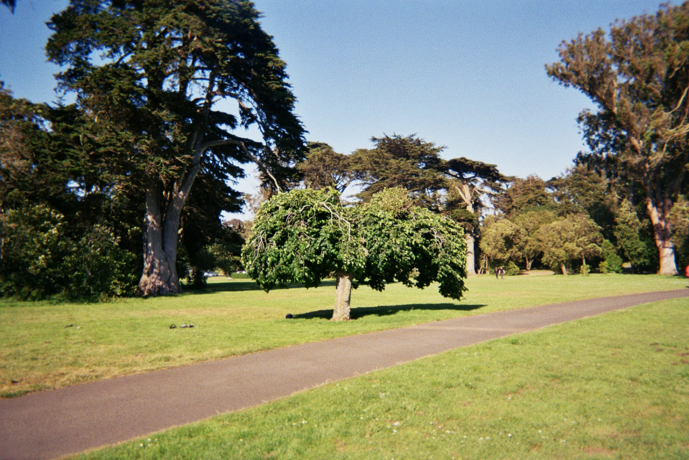 00024_3A.jpg