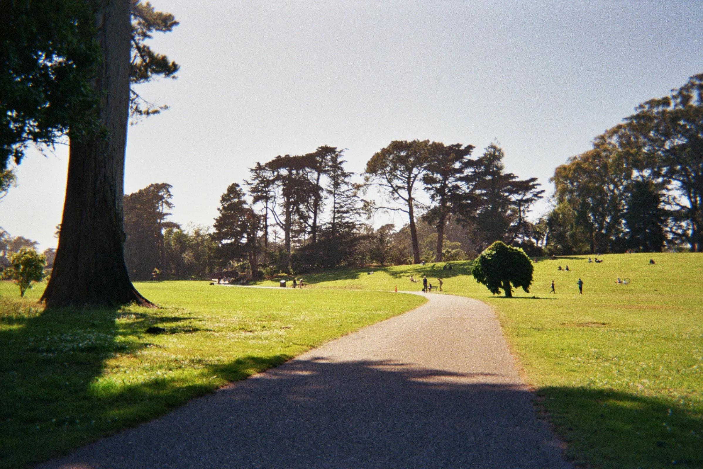 00022_5A.jpg