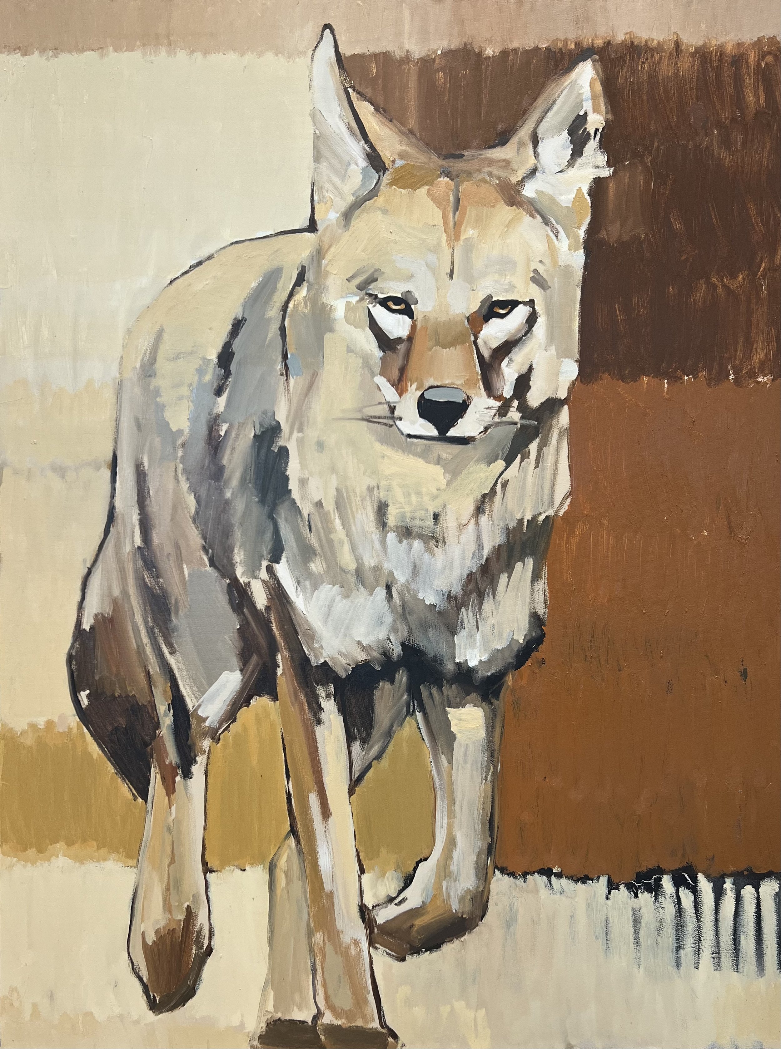 Born in the Tall Grass