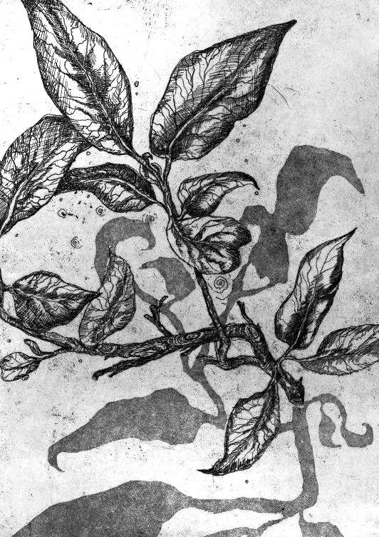 Broken Vine
