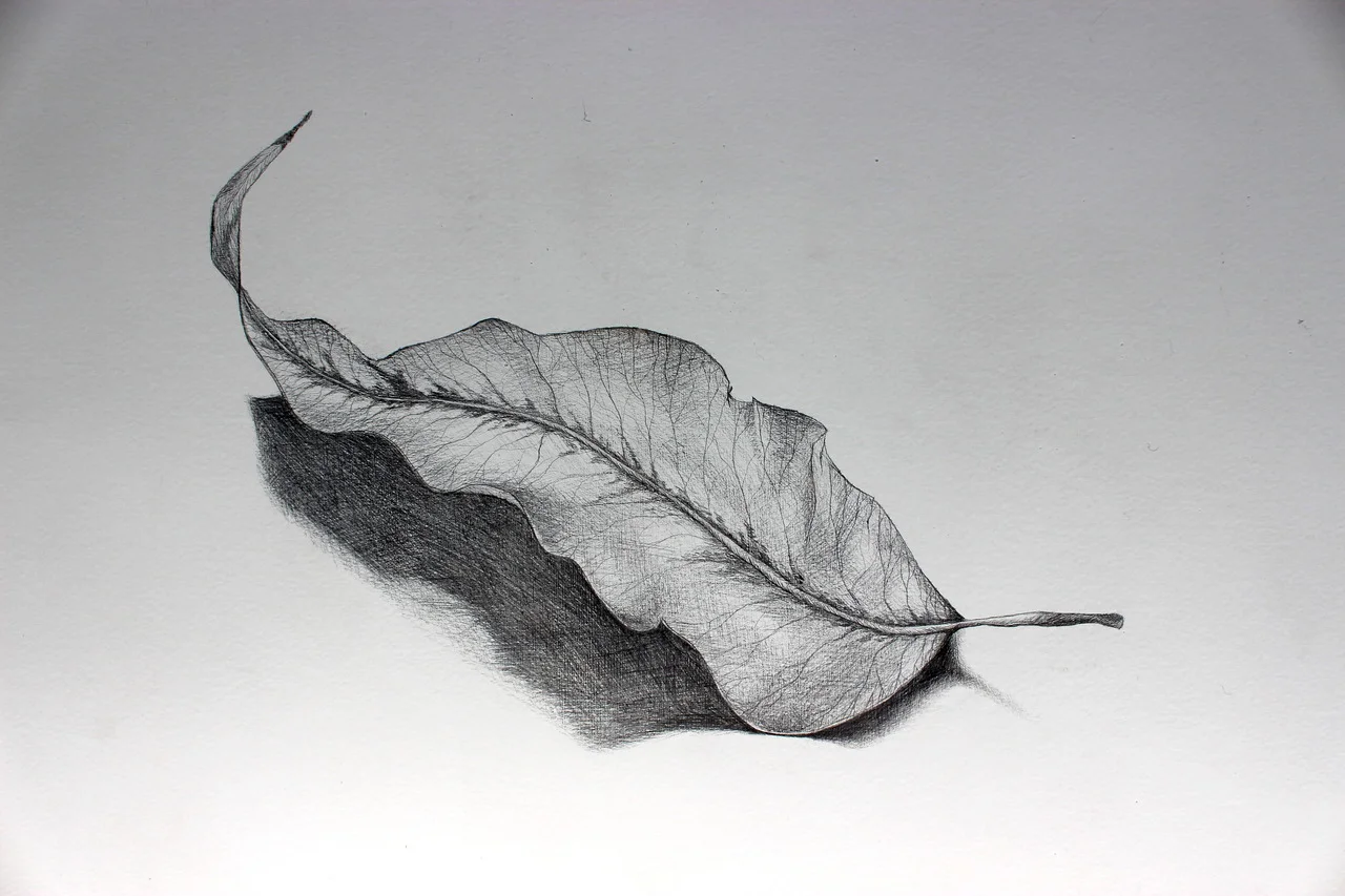 Fall