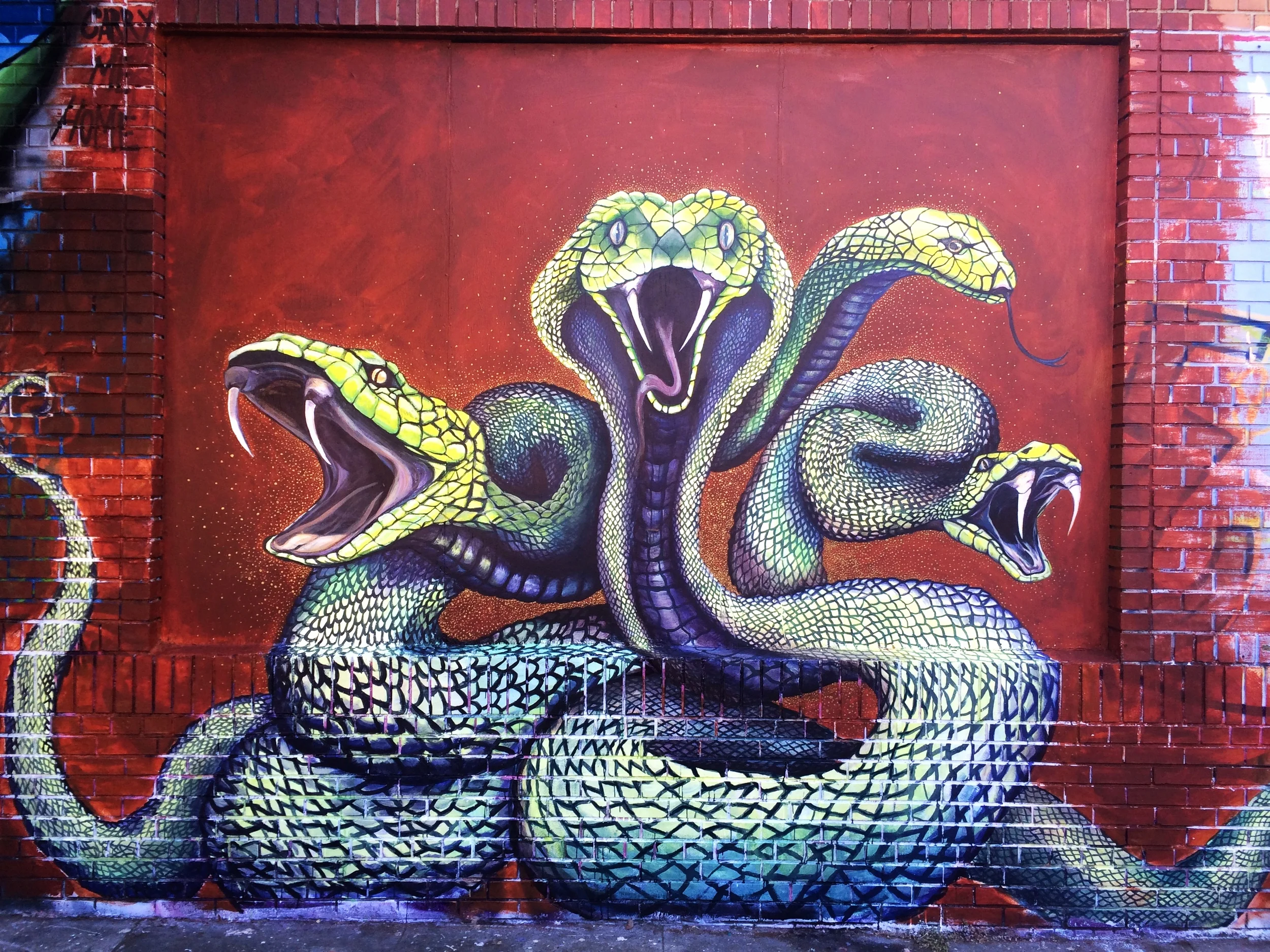 Serpent Dream
