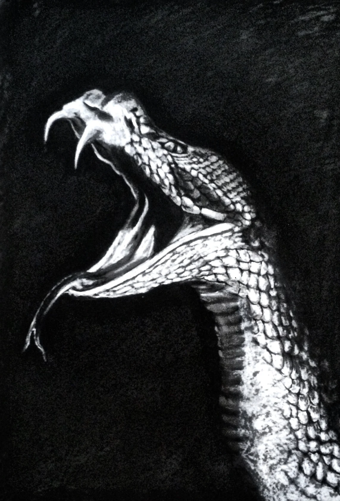Venom