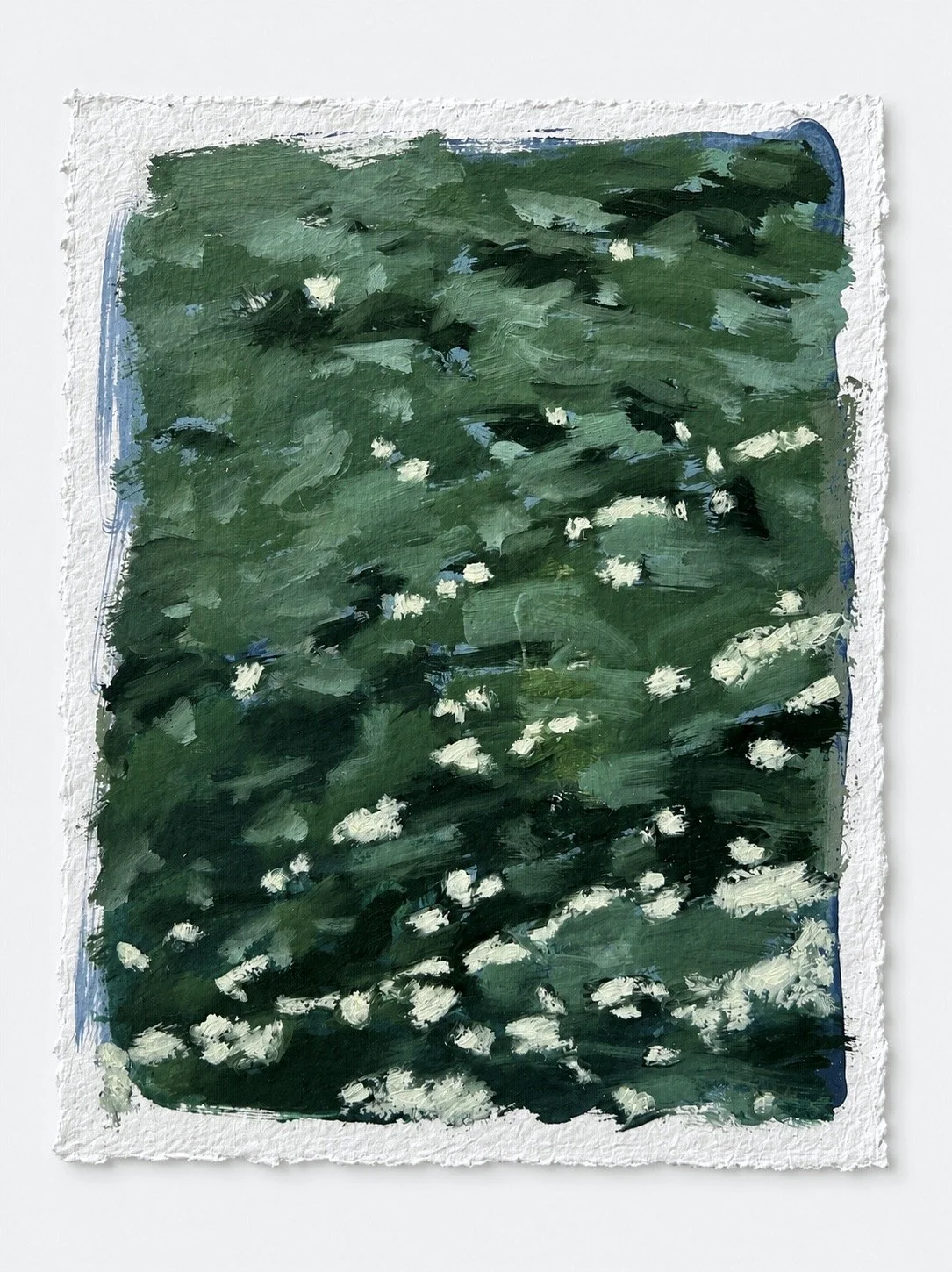 Spruce
