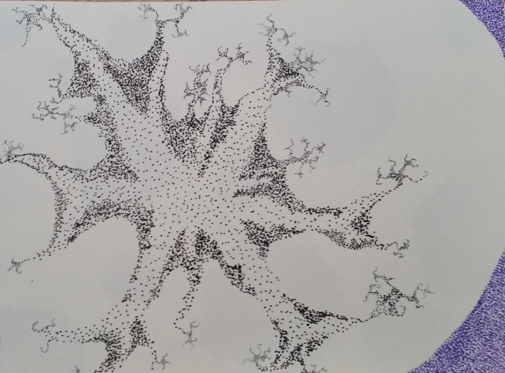 Zoom in: fractal amoeba