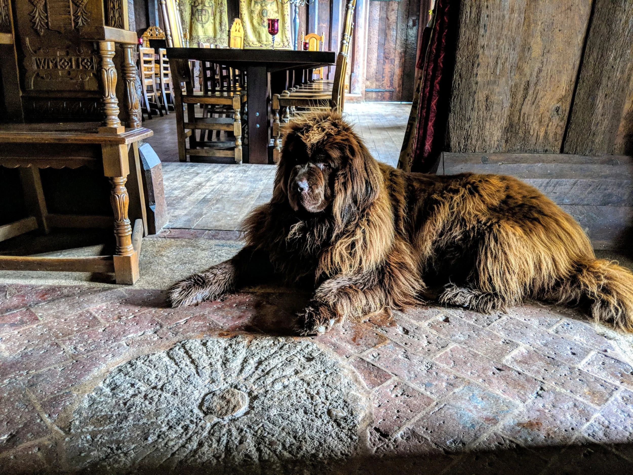 Coco in the Manor.jpg