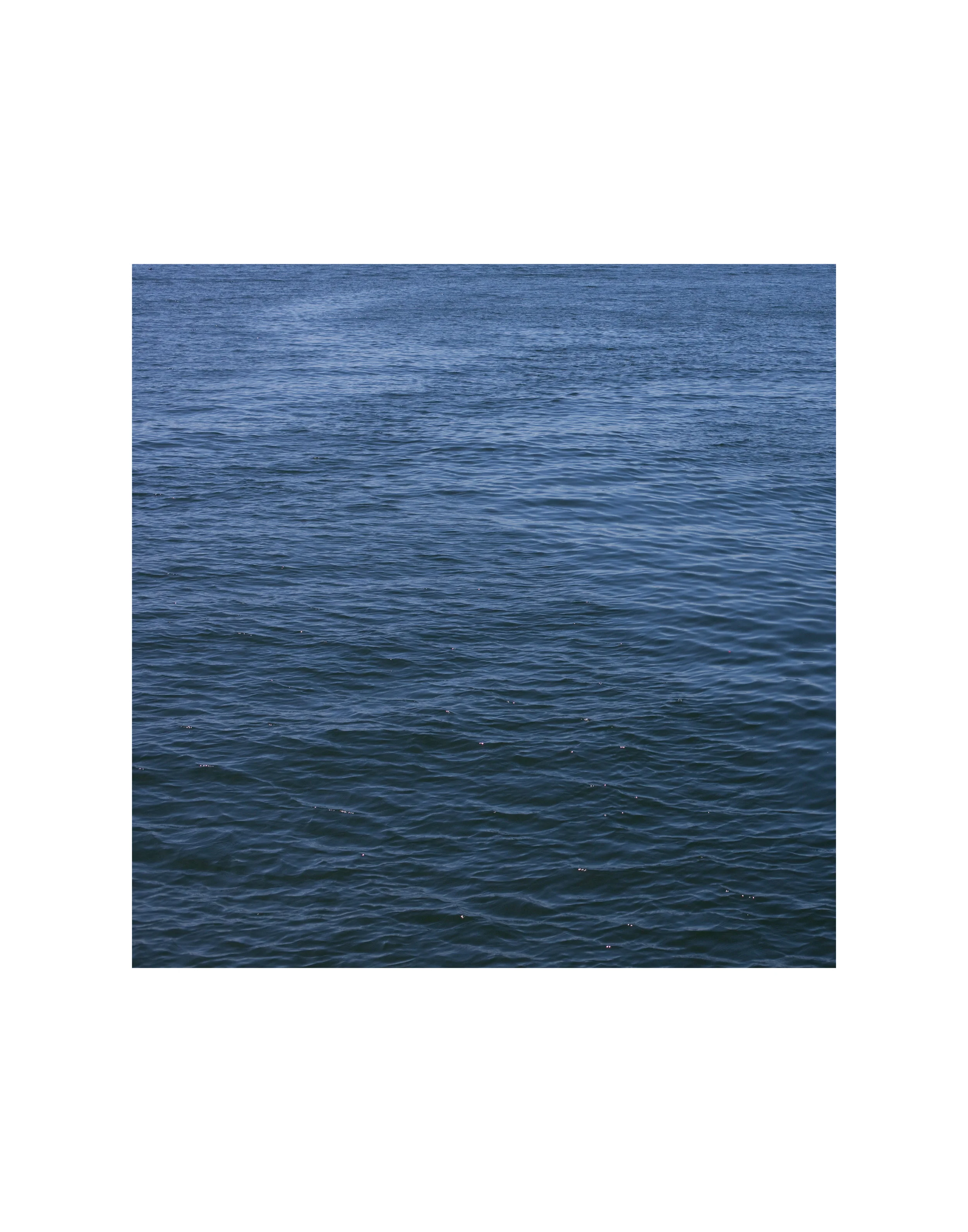 Puget Sound (2014)