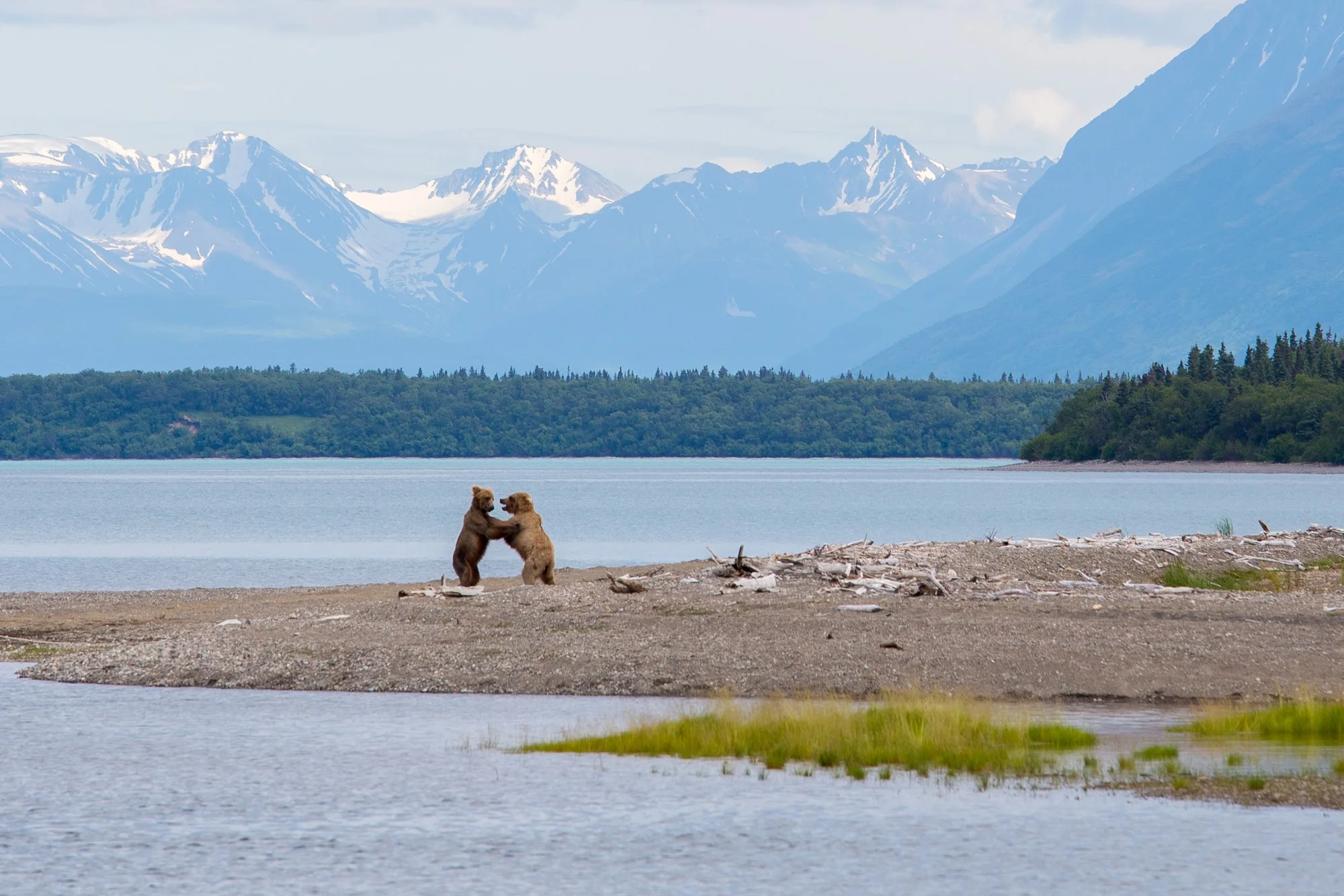 Landscapes and Wildlife — Sam Hamilton Photography