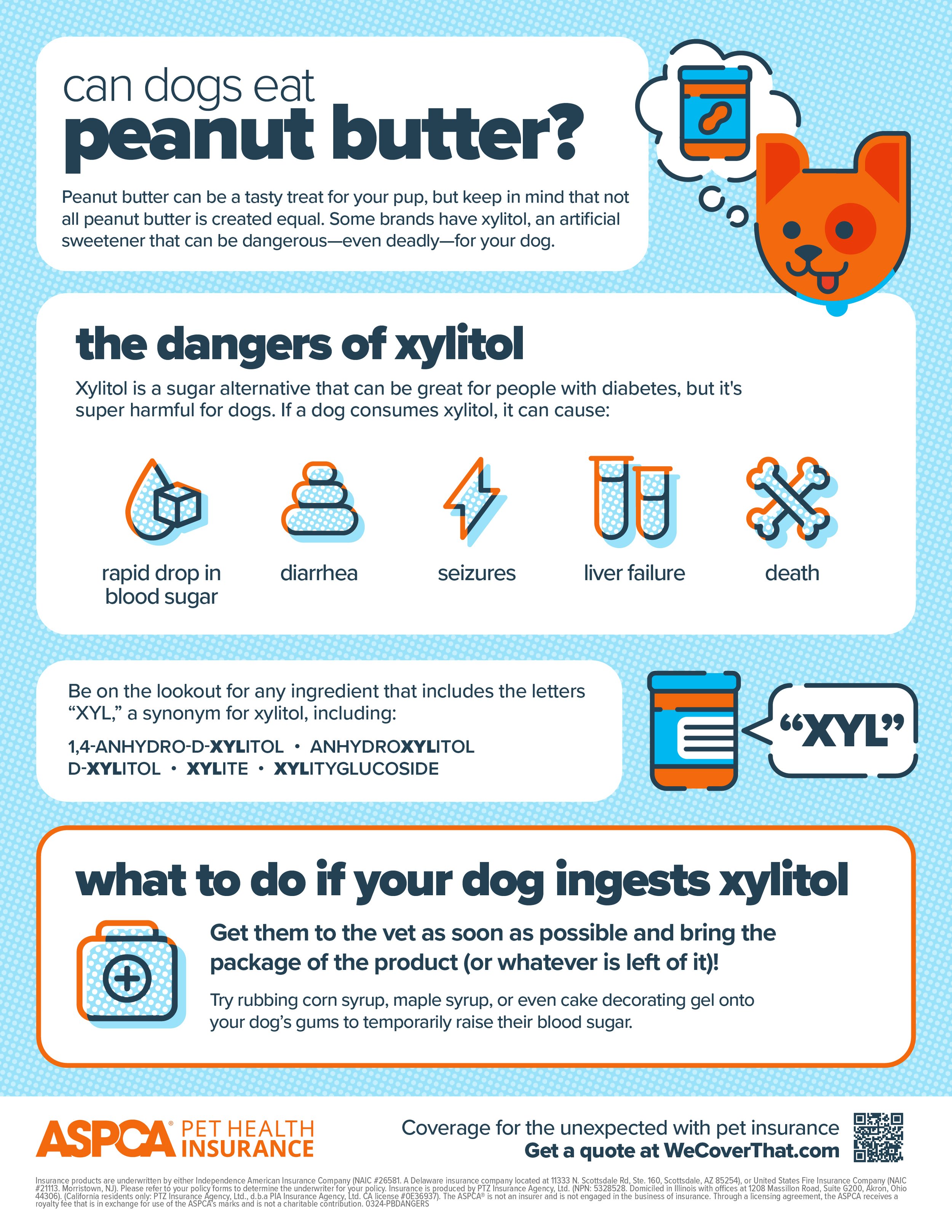 peanut-butter-dangers-of-xylitol.jpg