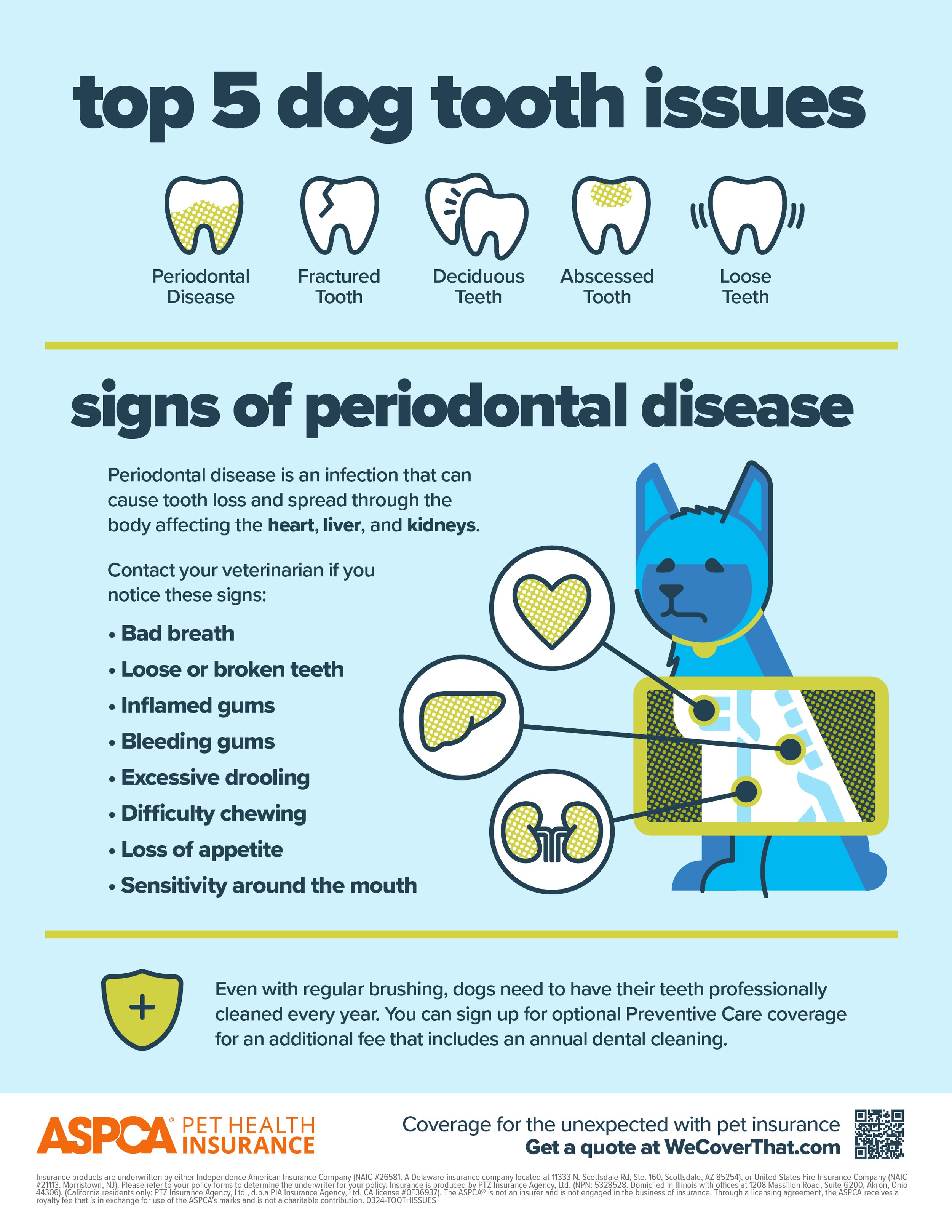 top-5-dog-tooth-issues.jpg