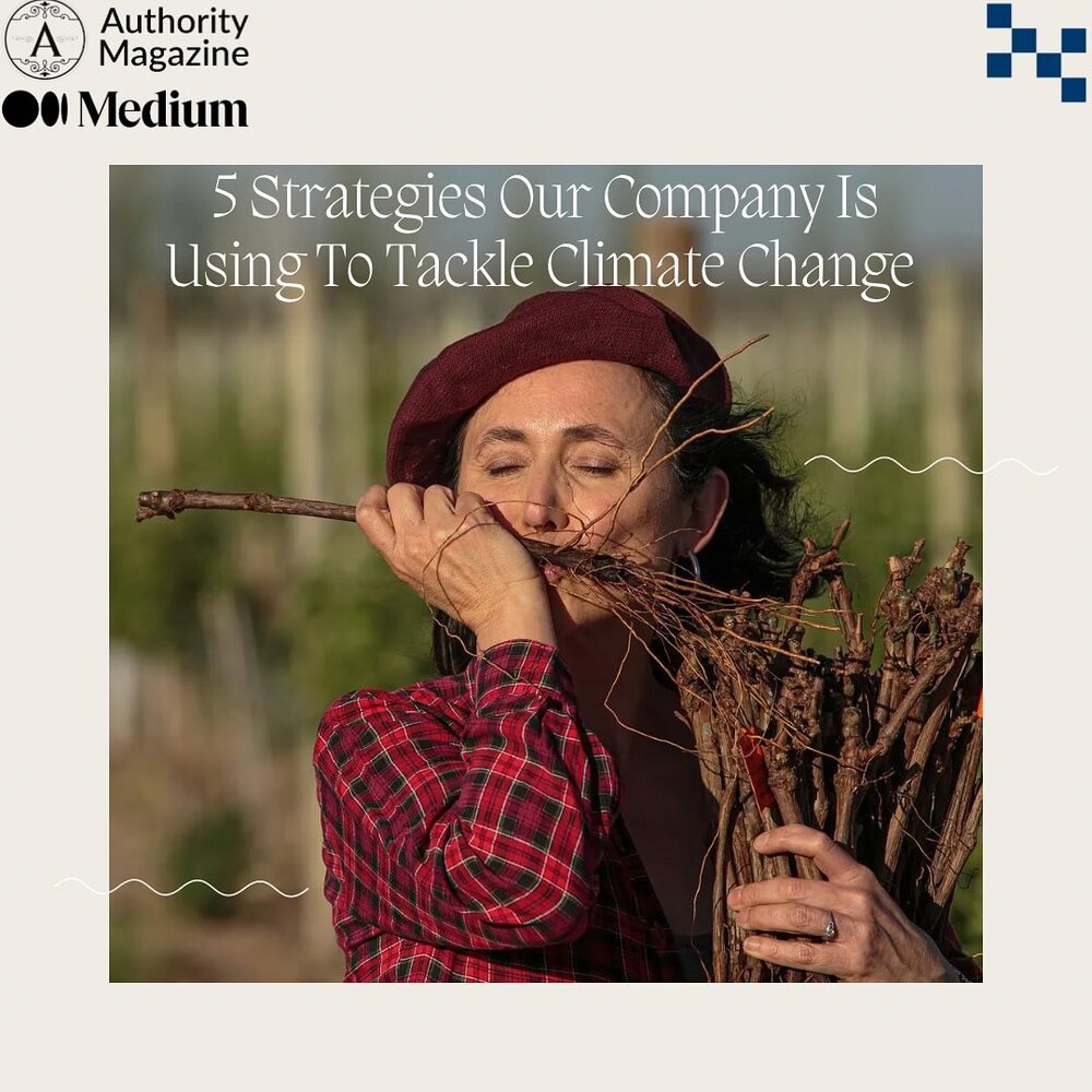 Thank you, Authority Magazine and @medium , for the insightful interview, &lsquo;Dr. Laura Catena Of Catena Zapata: Five Strategies Our Company Is Using To Tackle Climate Change &amp; Become More Sustainable&rsquo; 🌱. 

One standout concept from the