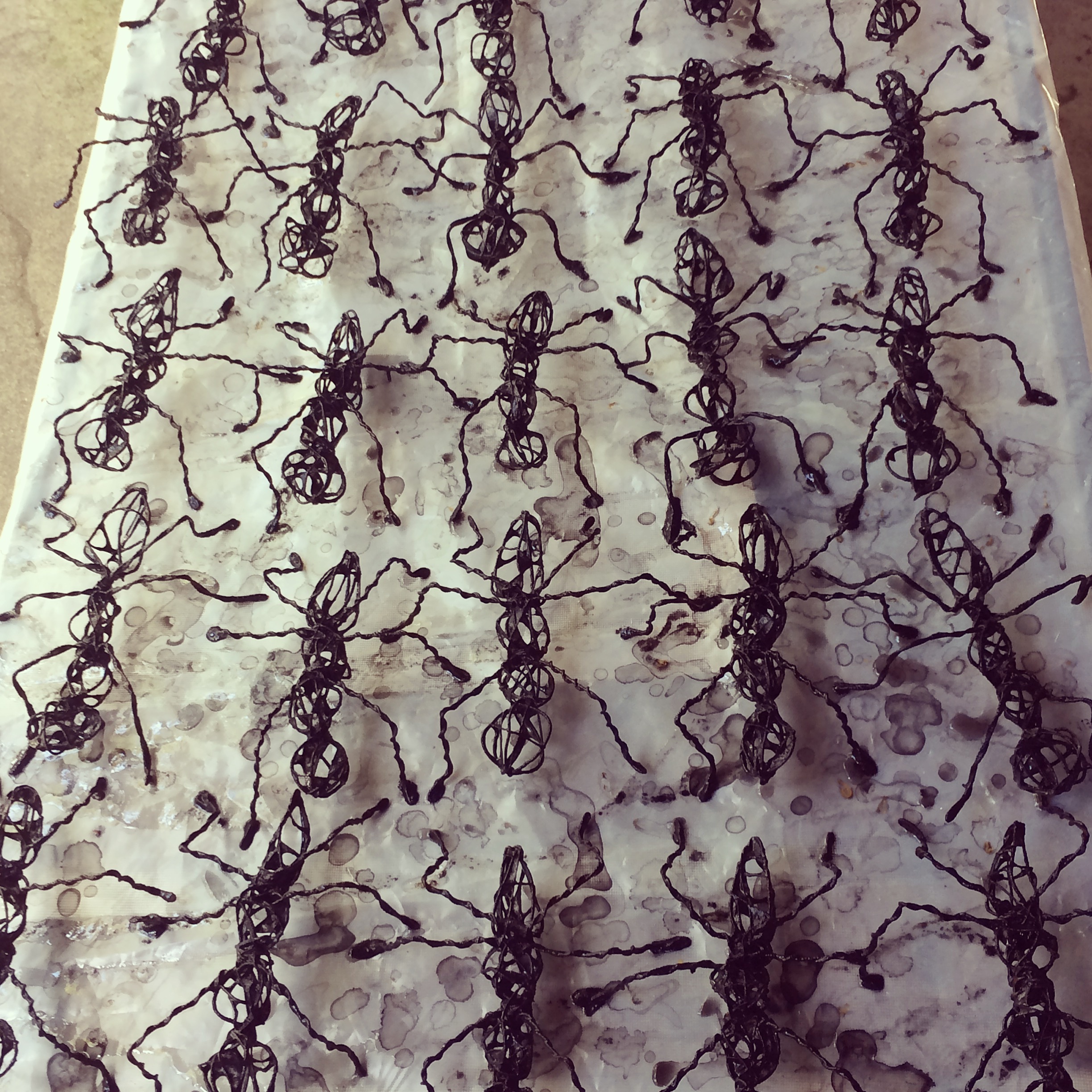  ants drying after a few dips in the abaca/ink bath 