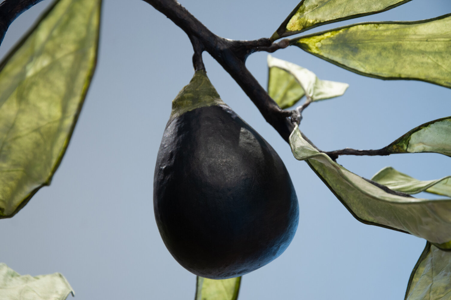 Nature's Offering -- Black Olive Detail