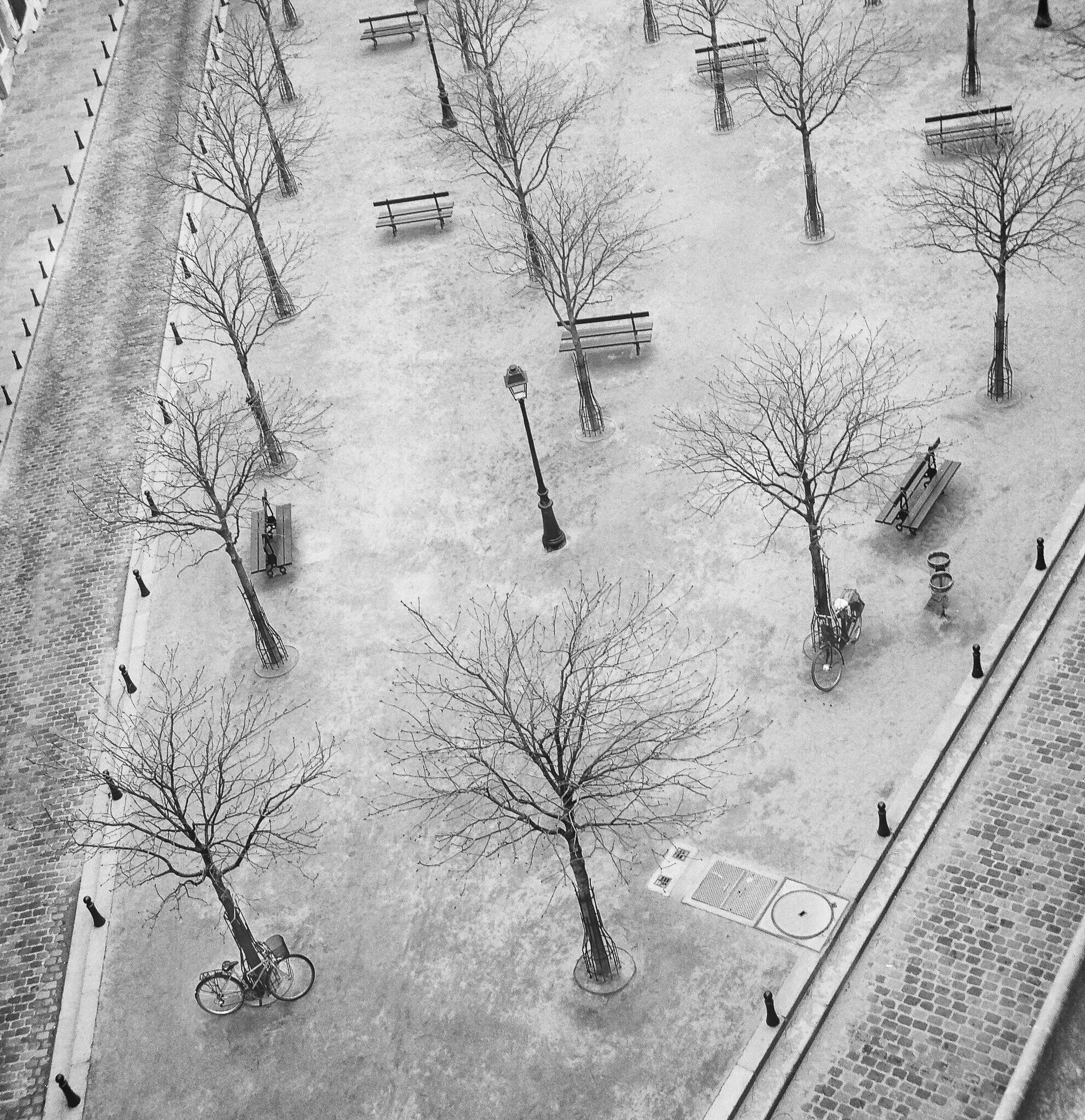  Bike on Place Dauphin 
