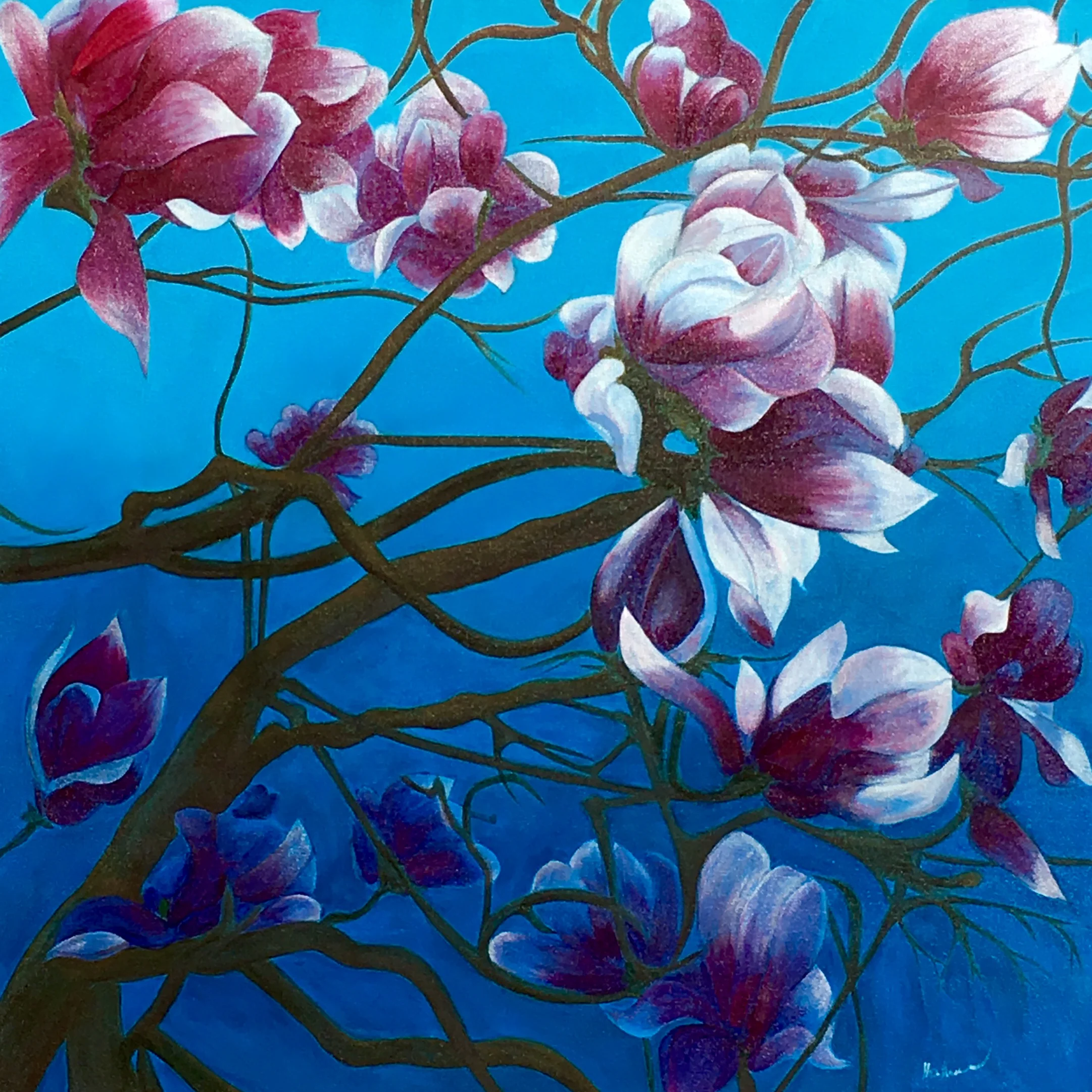 Magnolias