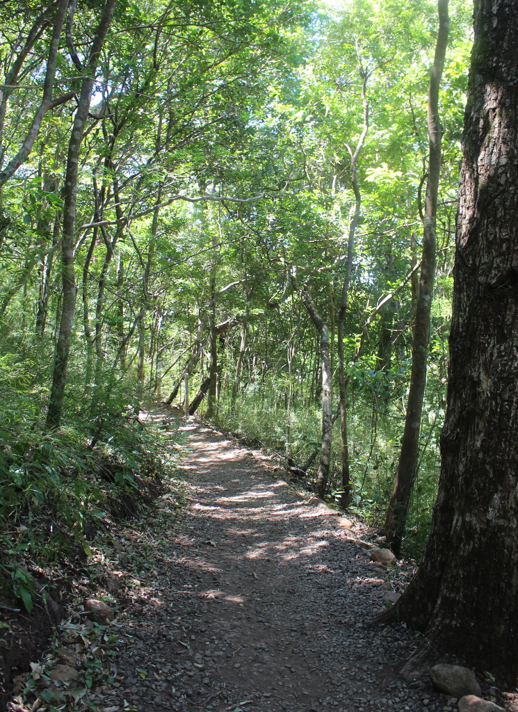 Hiking through Rincon de La Vieja