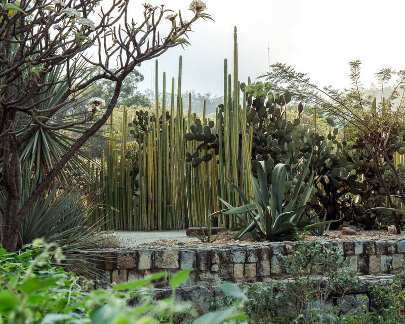 Ethnobotanical Garden in Oaxaca City