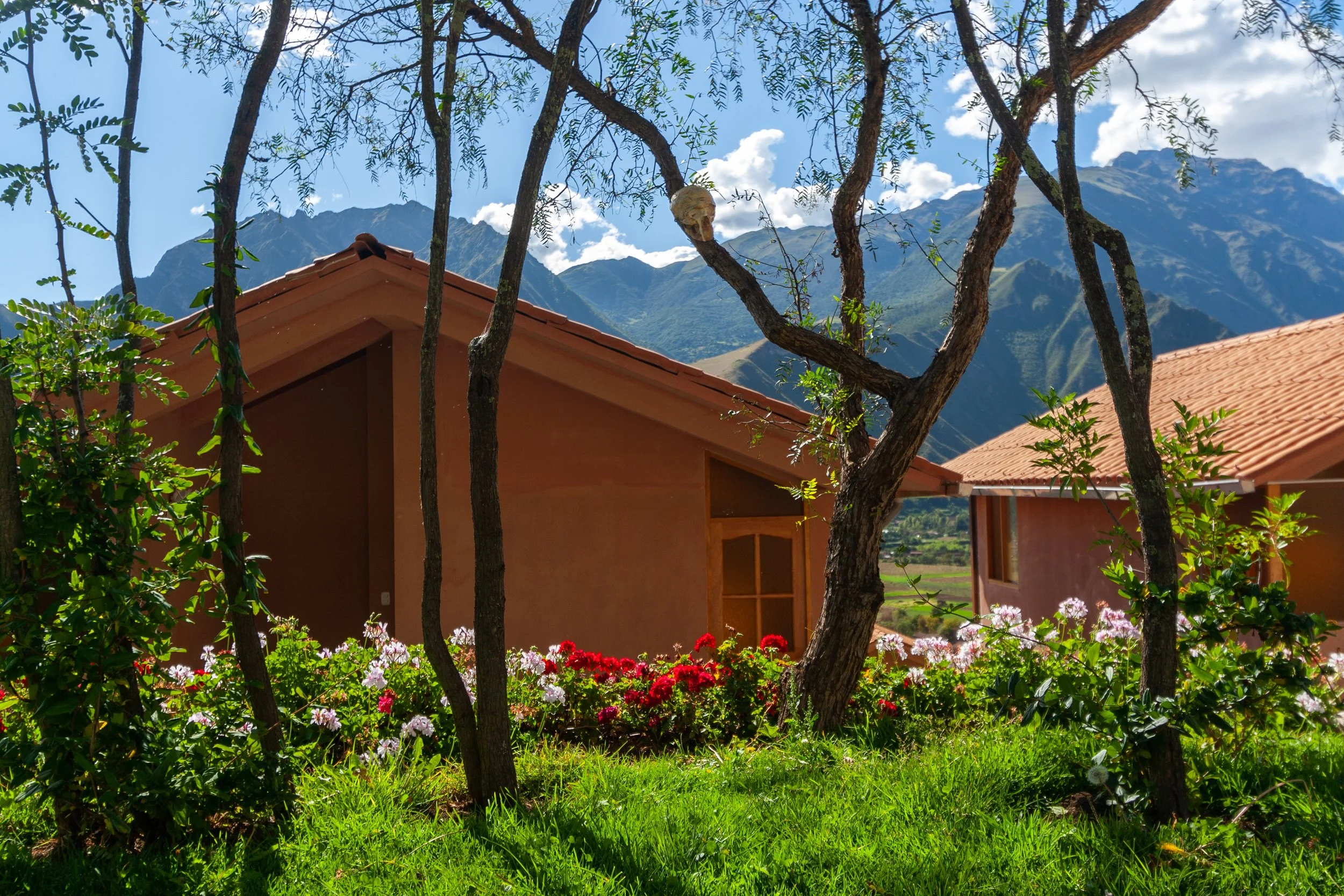 Copia de _MG_0655.jpg