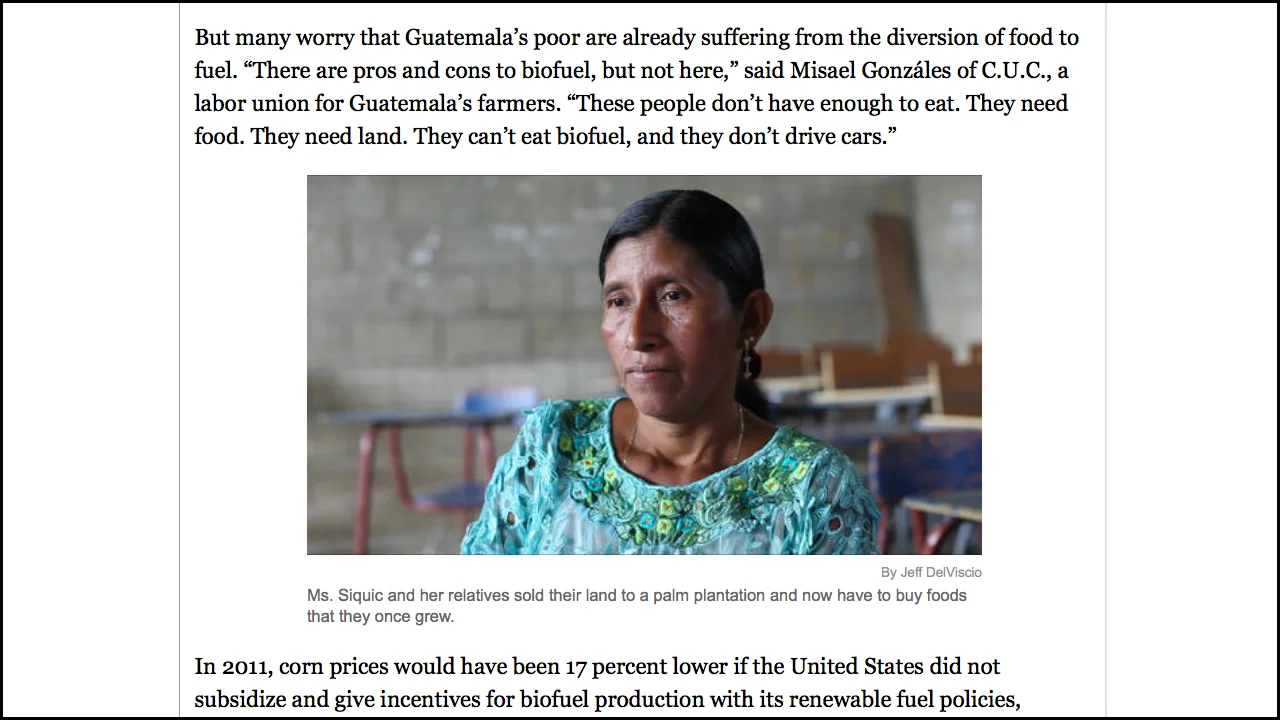 Portraits: Biofuel Fallout Role: Video Editor A project looking the effects of a biofuels rush on Guatemalan farmers. Edited video portraits of four Guatemalans. View Videos