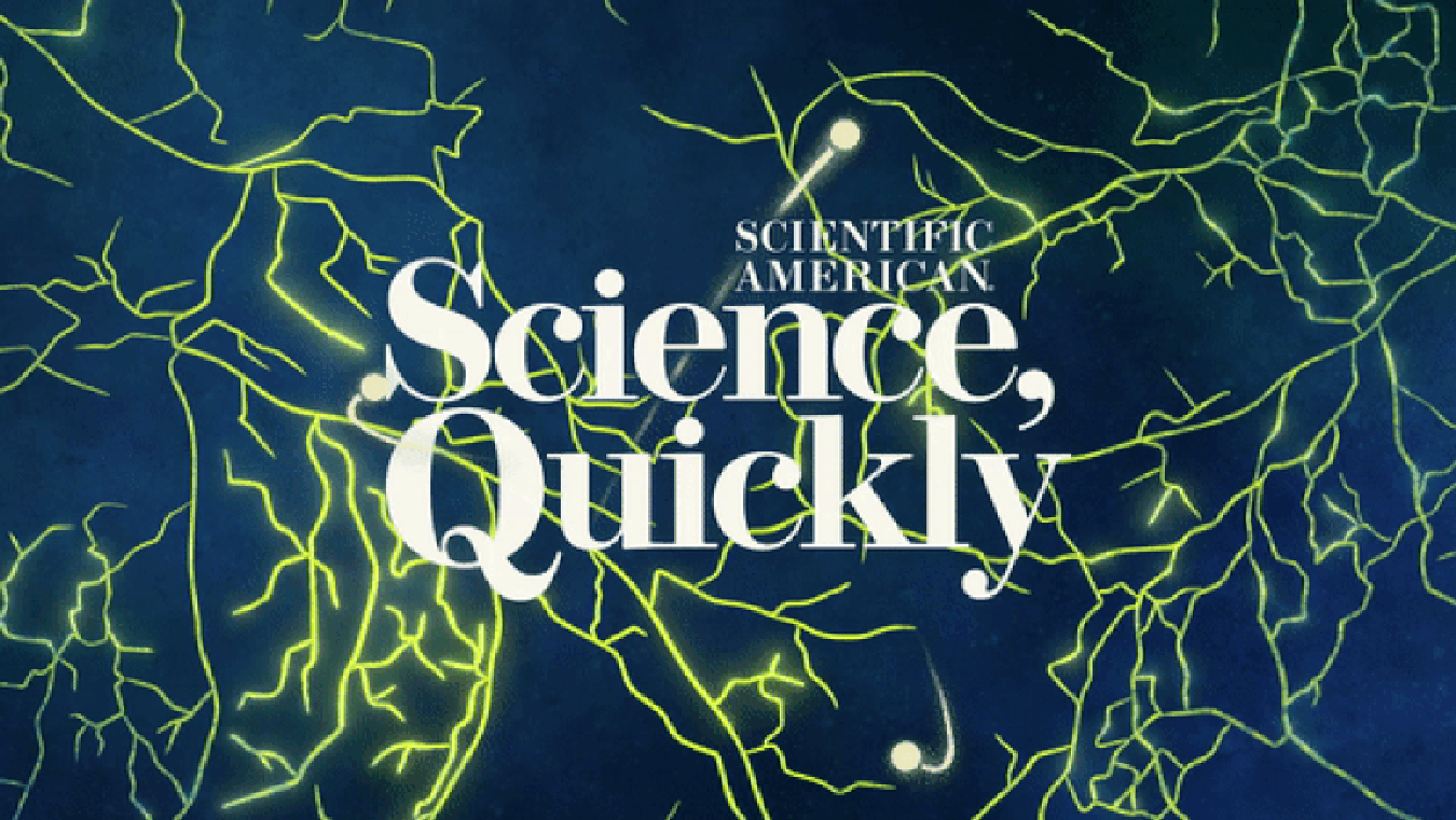 The Fungi Economy, Part 1