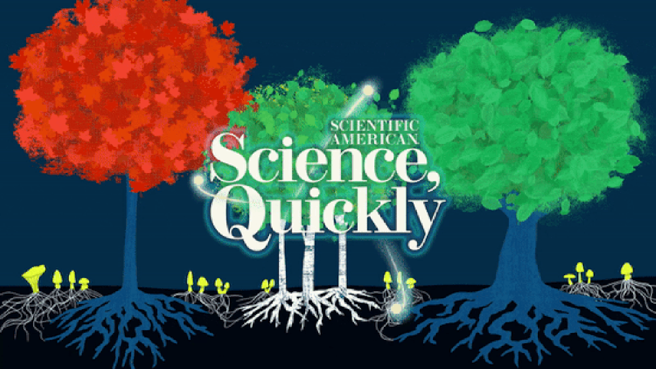 The Fungi Economy, Part 2