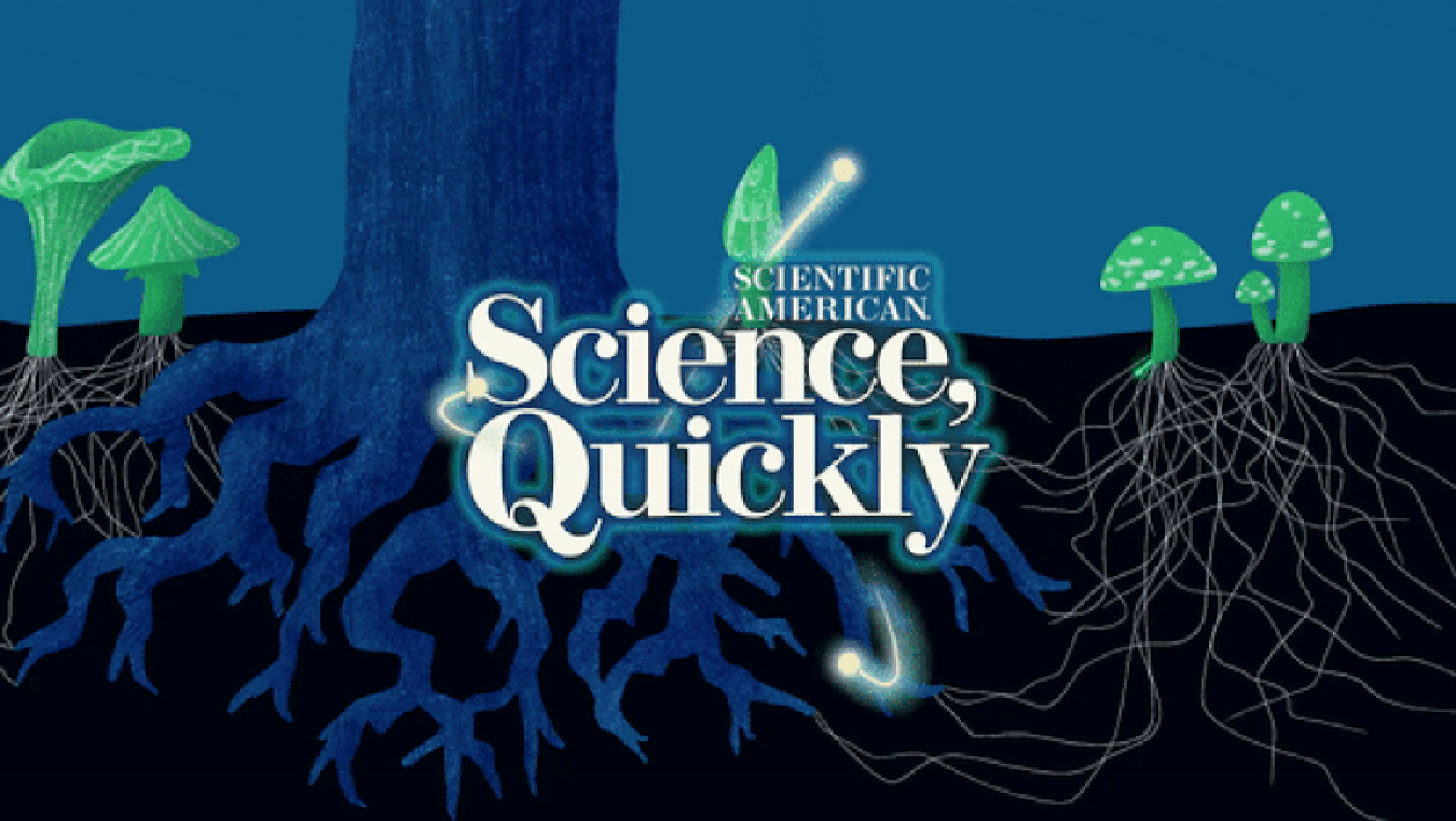 The Fungi Economy, Part 3