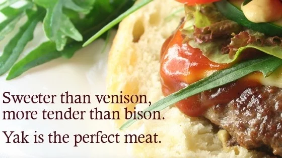 Yak%2Bsweeter%2Bthan%2Bvenison.jpg