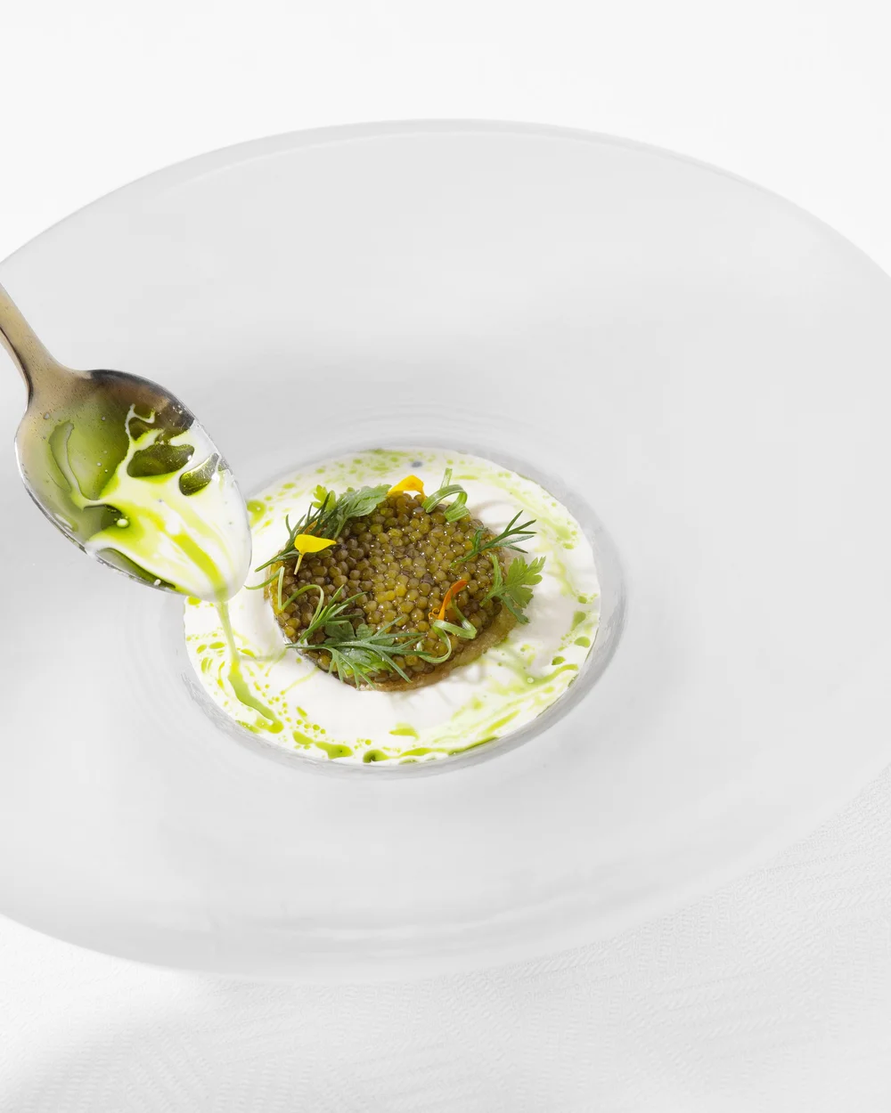Aquavit — photograph 7