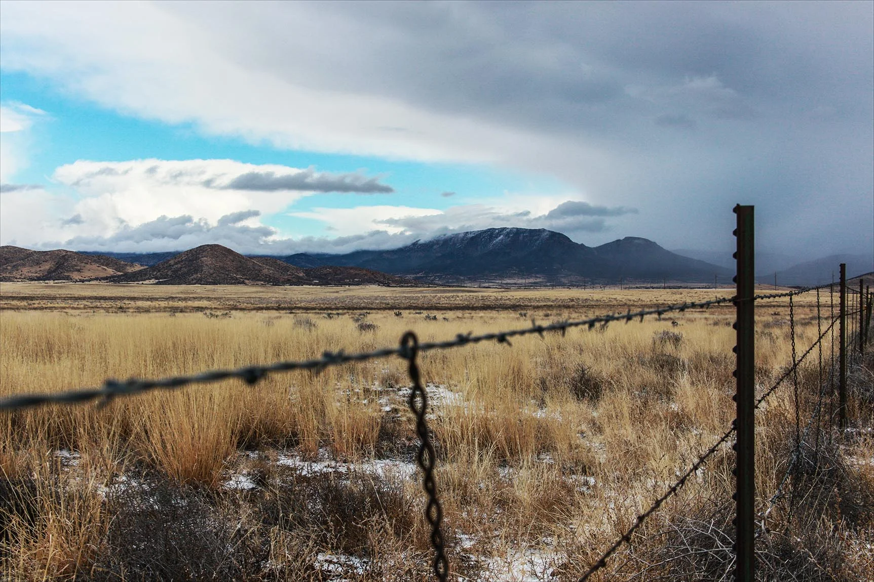 Barbed Wire.jpg