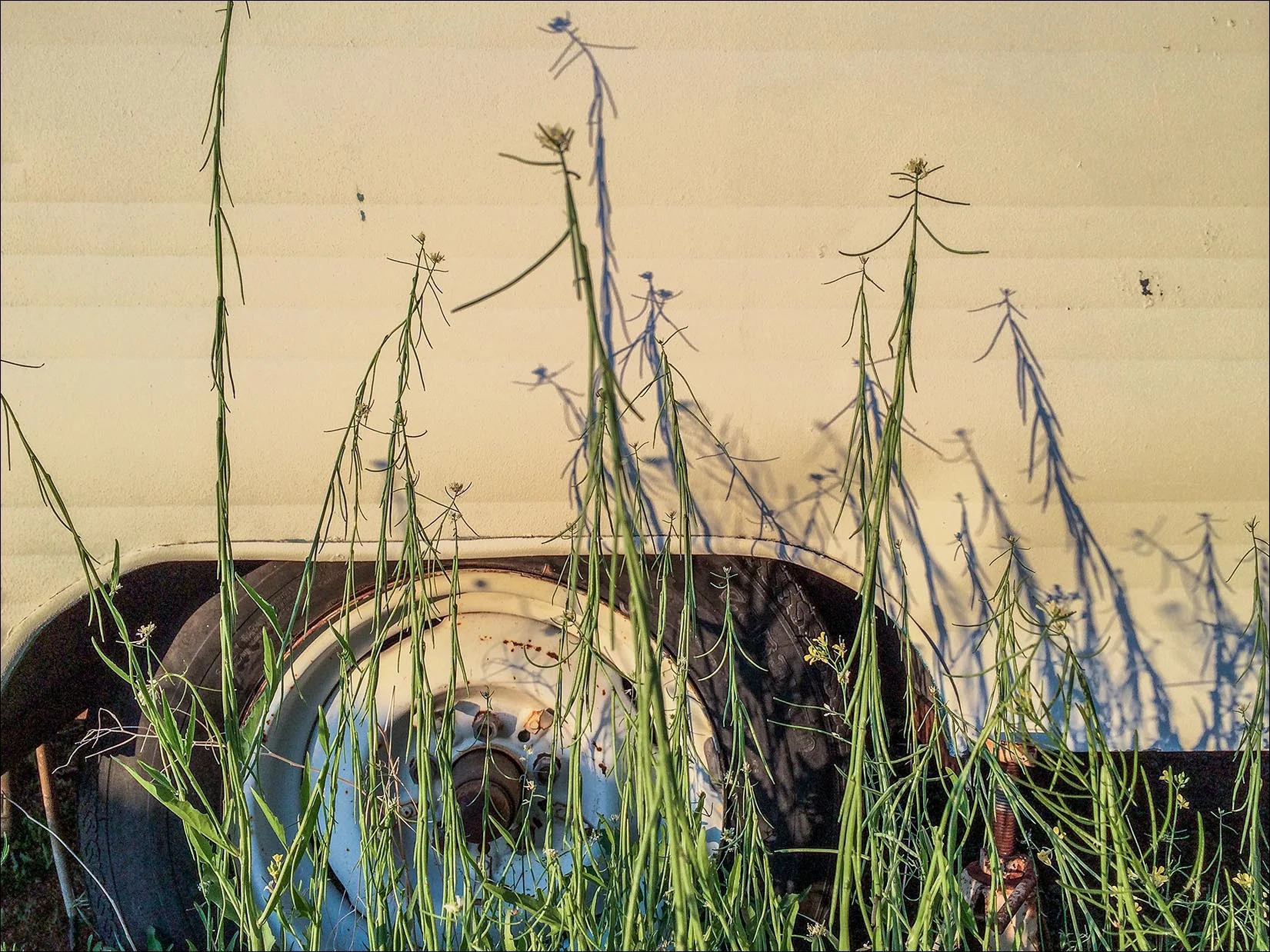 Desert camper wheel w grass.jpg