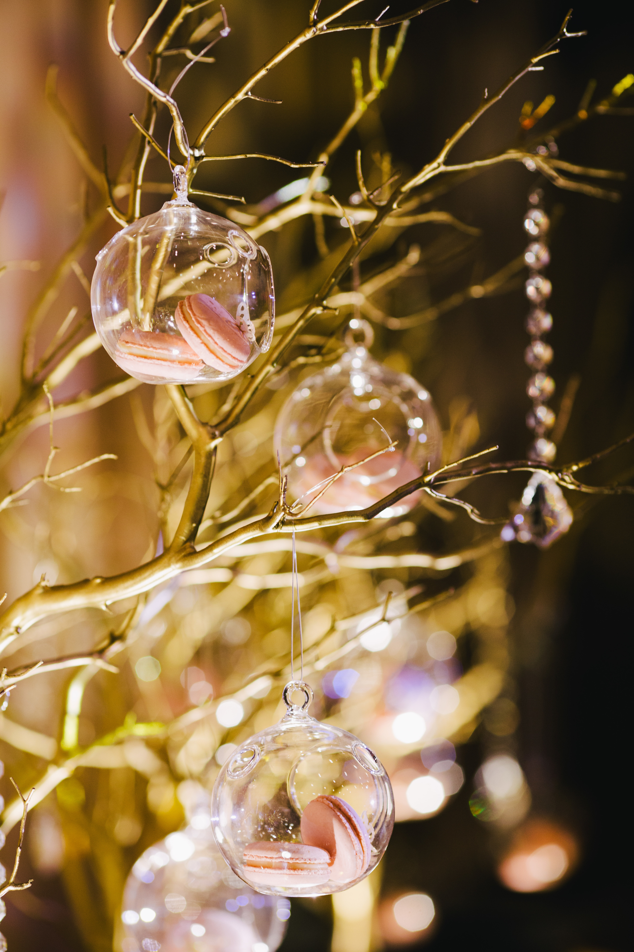 1368_Tejel  Nipul-(ZF-8273-38833-1-006).jpg