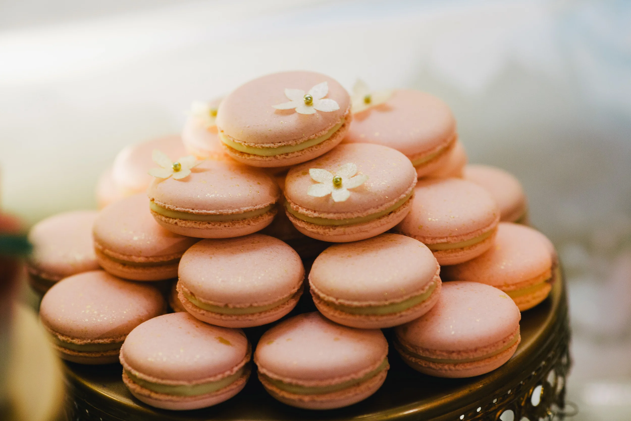 1375_Tejel  Nipul-(ZF-8273-38833-1-008).jpg