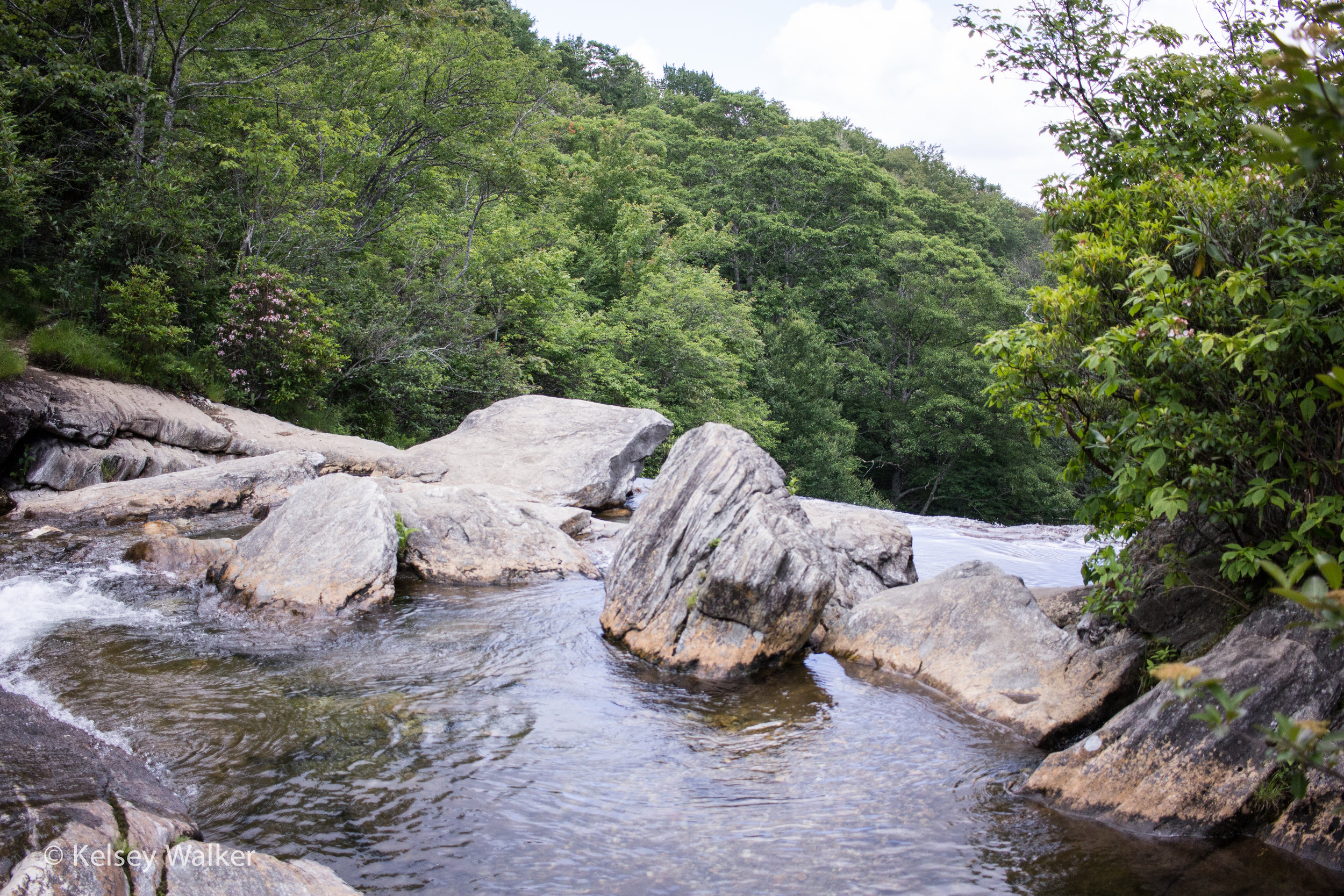 Graveyard Fields was one of my first hikes as a kid and is still one of my favorites.