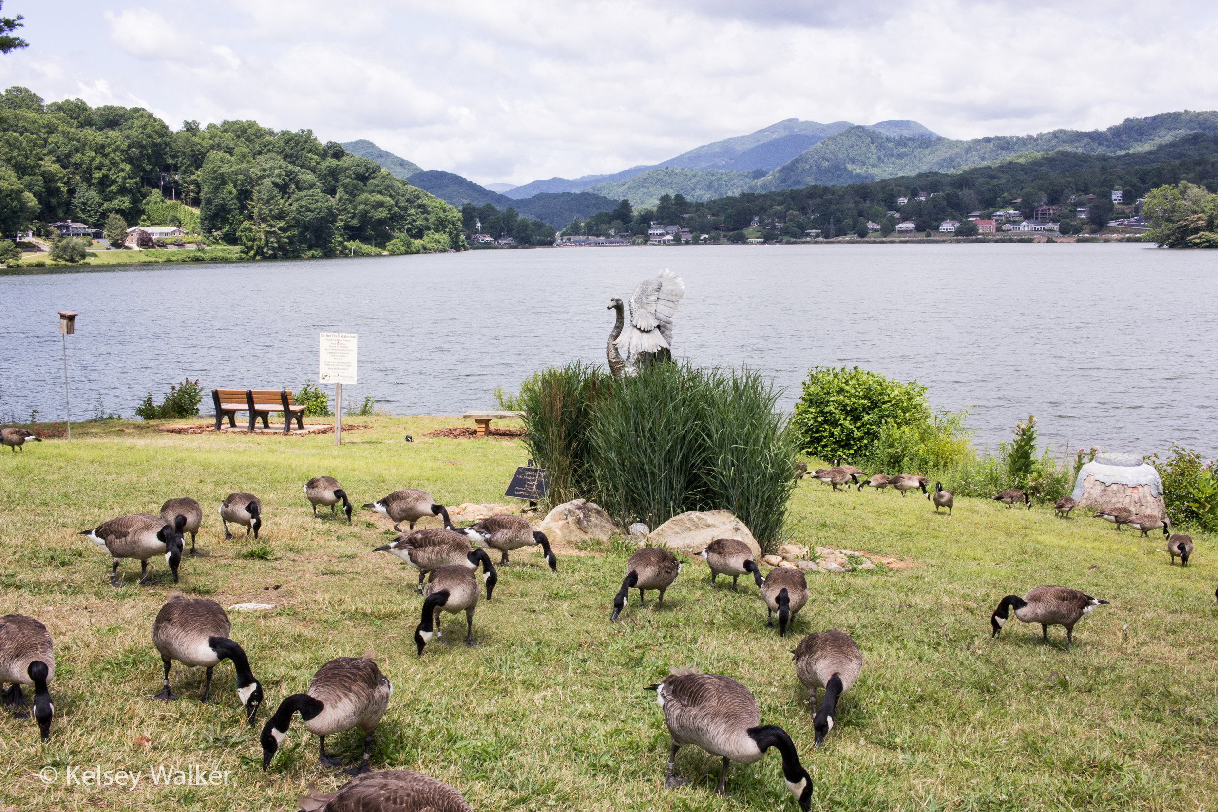 Lake Junaluska is our go-to place for a scenic yet brisk walk/jog. The trail around the lake is a little less than 3 mi with a nice view to boot