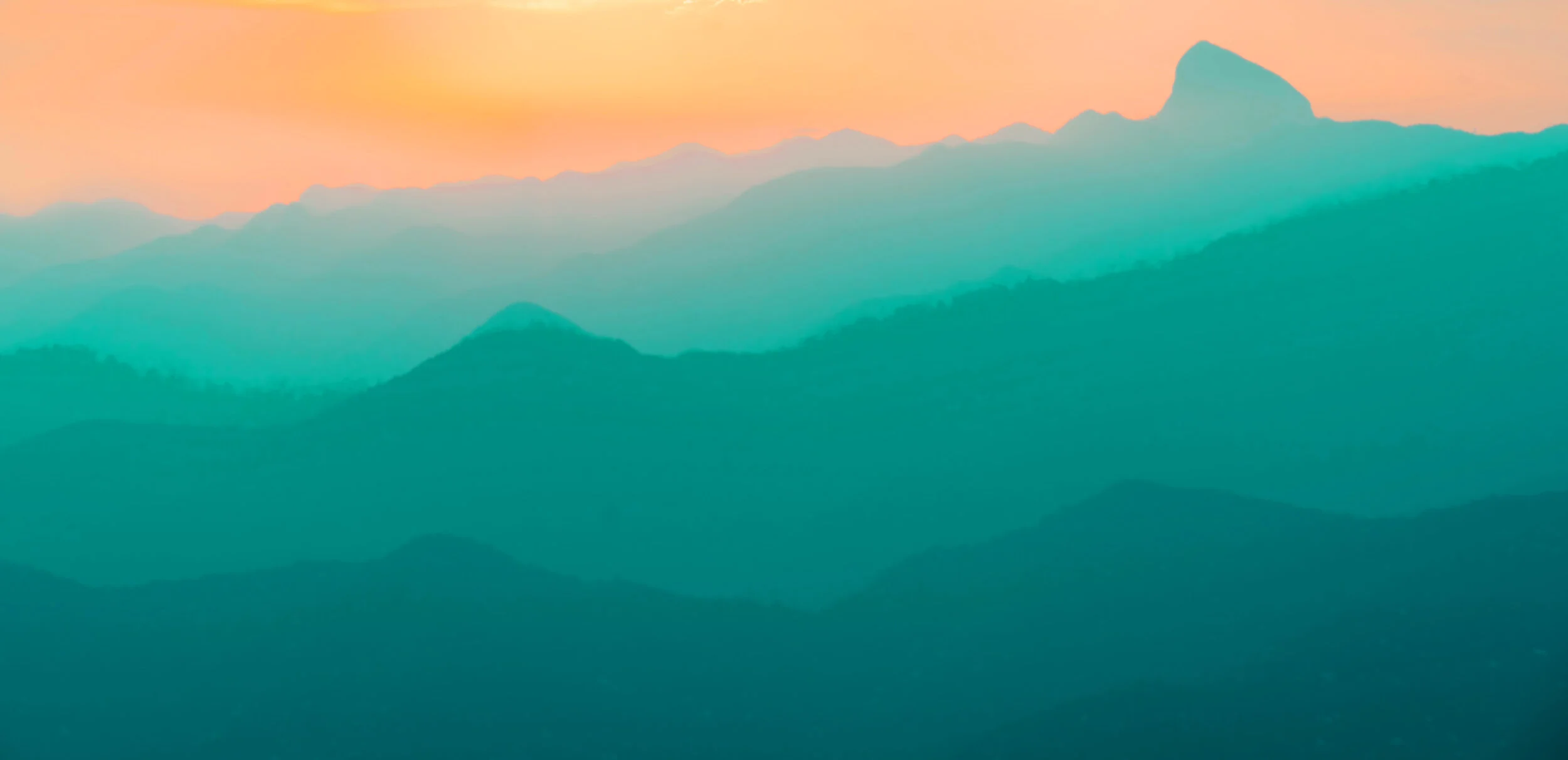 willian-justen-de-vasconcellos-_MMP5j_fCqw-unsplash.jpg
