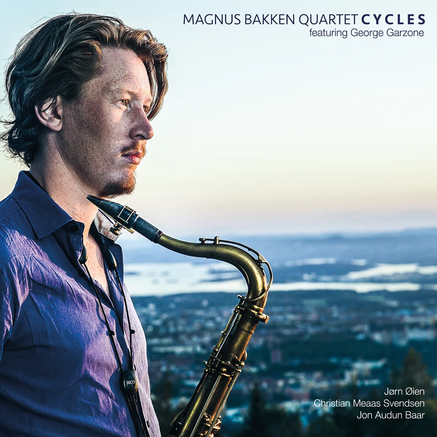 Cycles Indigoboom Cover.jpg