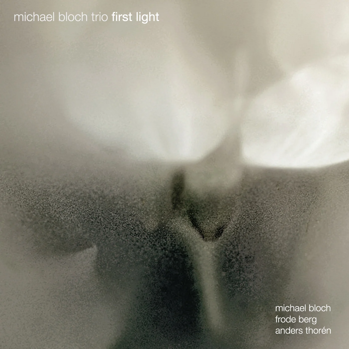 Michael Bloch Trio - First Light