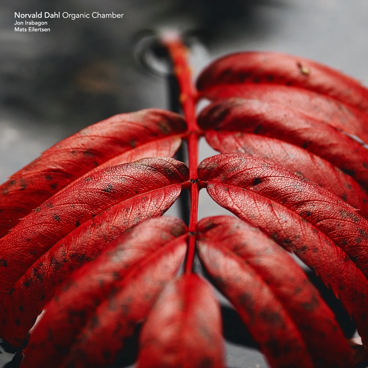AT030 Phonofile Cover.jpg