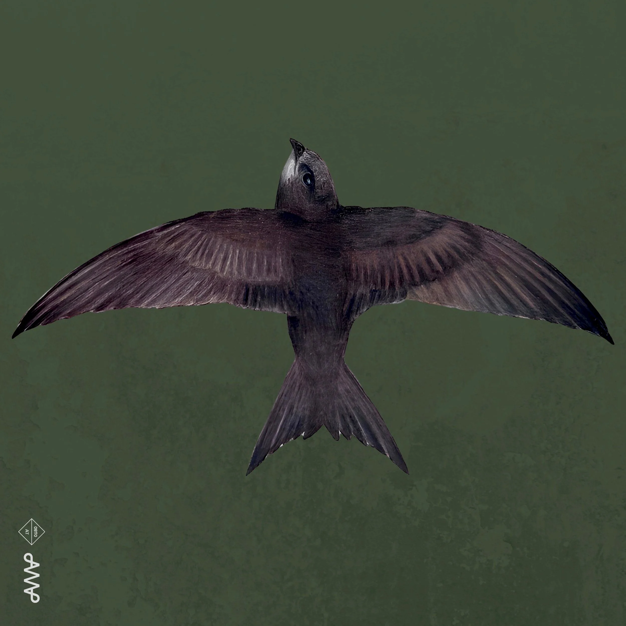 AT0180 DIgital cover.jpg