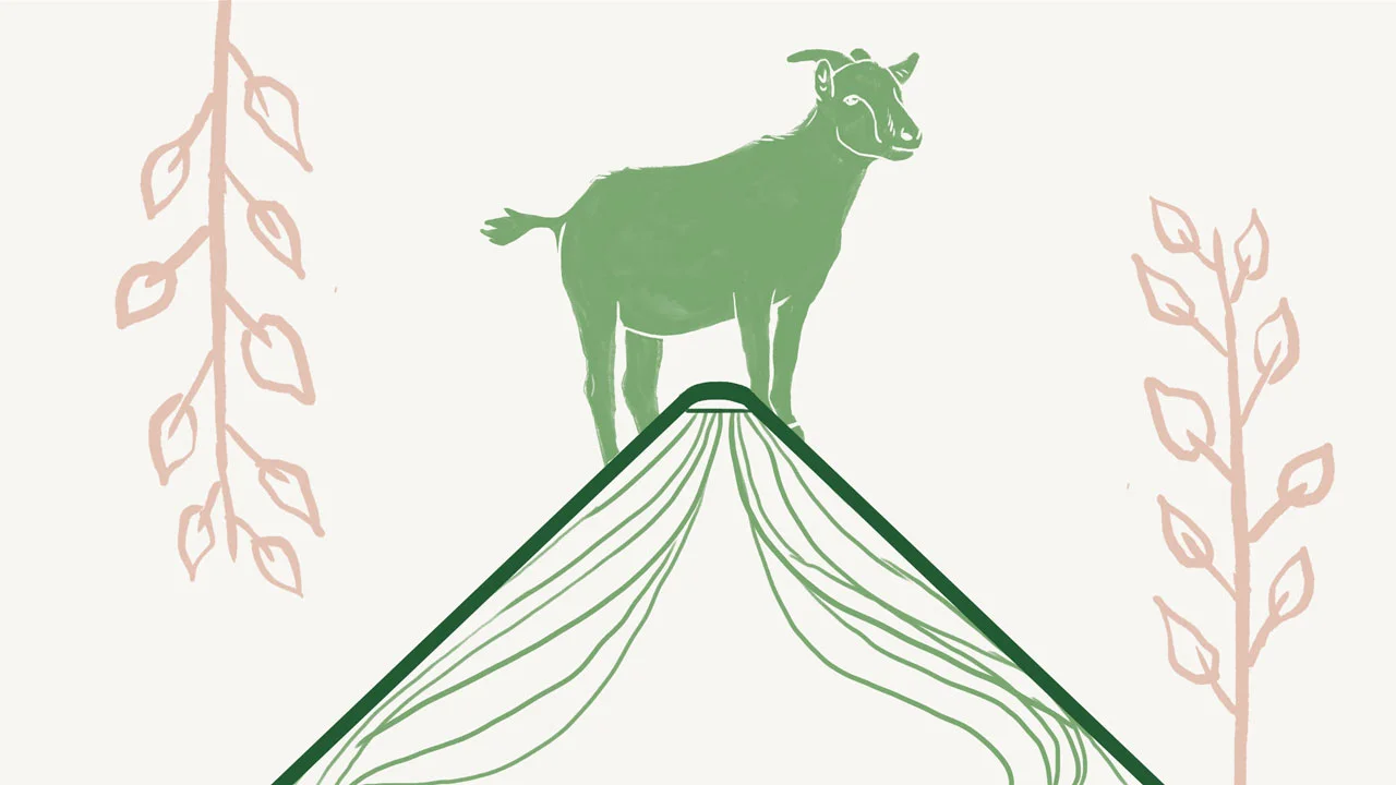 Capricorn