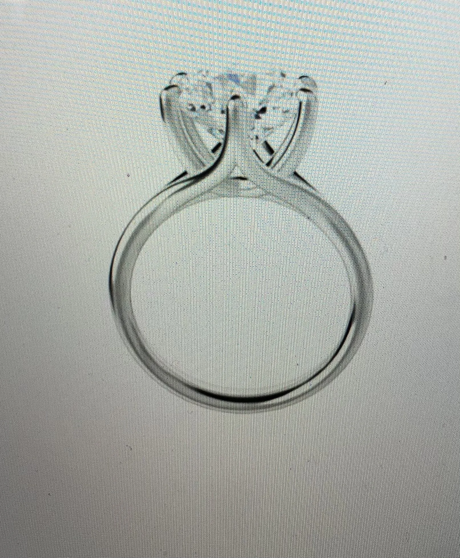 737DE920-8CD1-487E-94FC-729E7C6C78BD